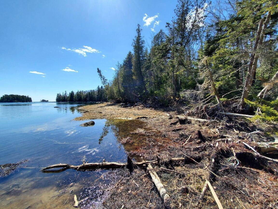 Steuben, ME 04680,47 Aspen LN