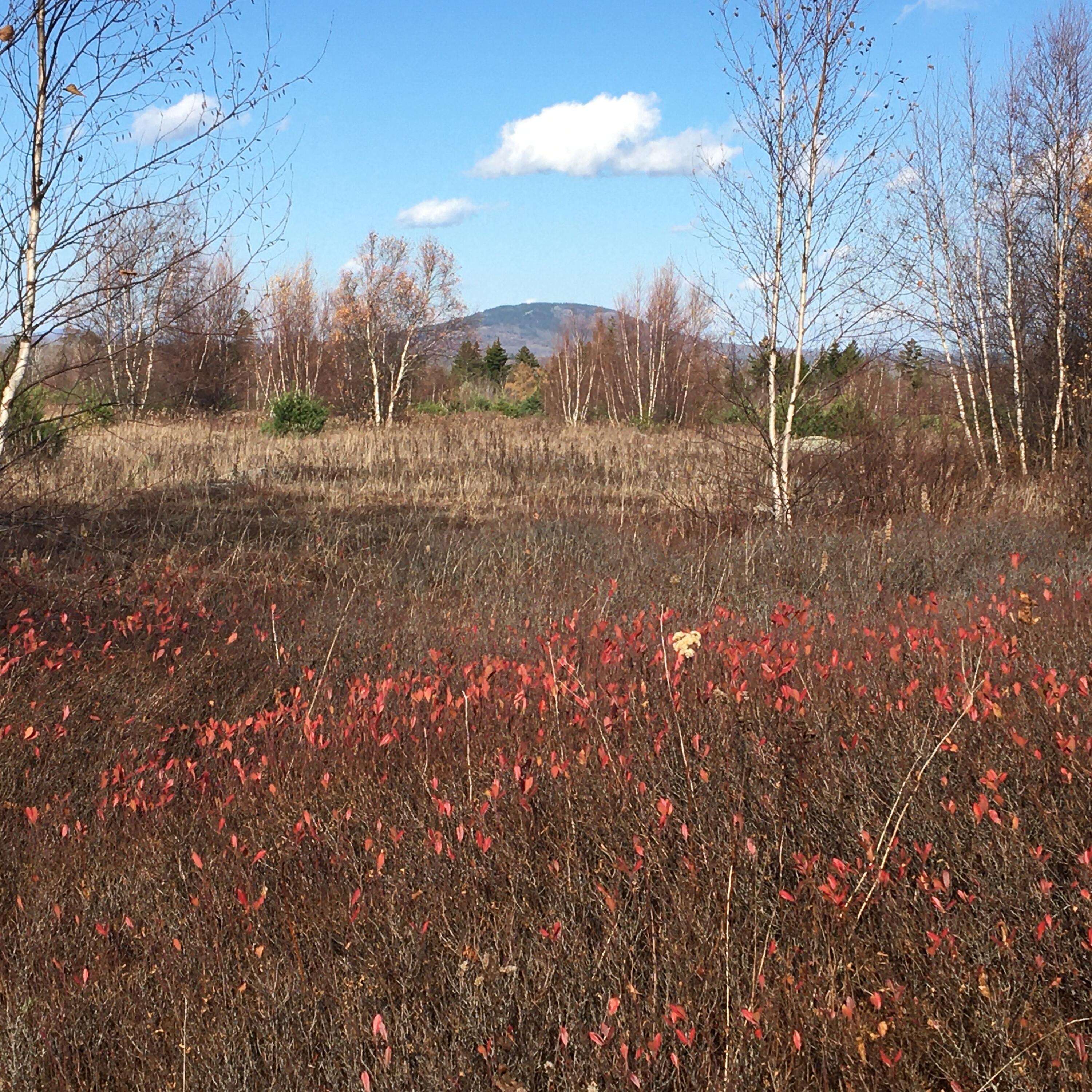 Sedgwick, ME 04676,08-02A Sedgwick Ridge RD