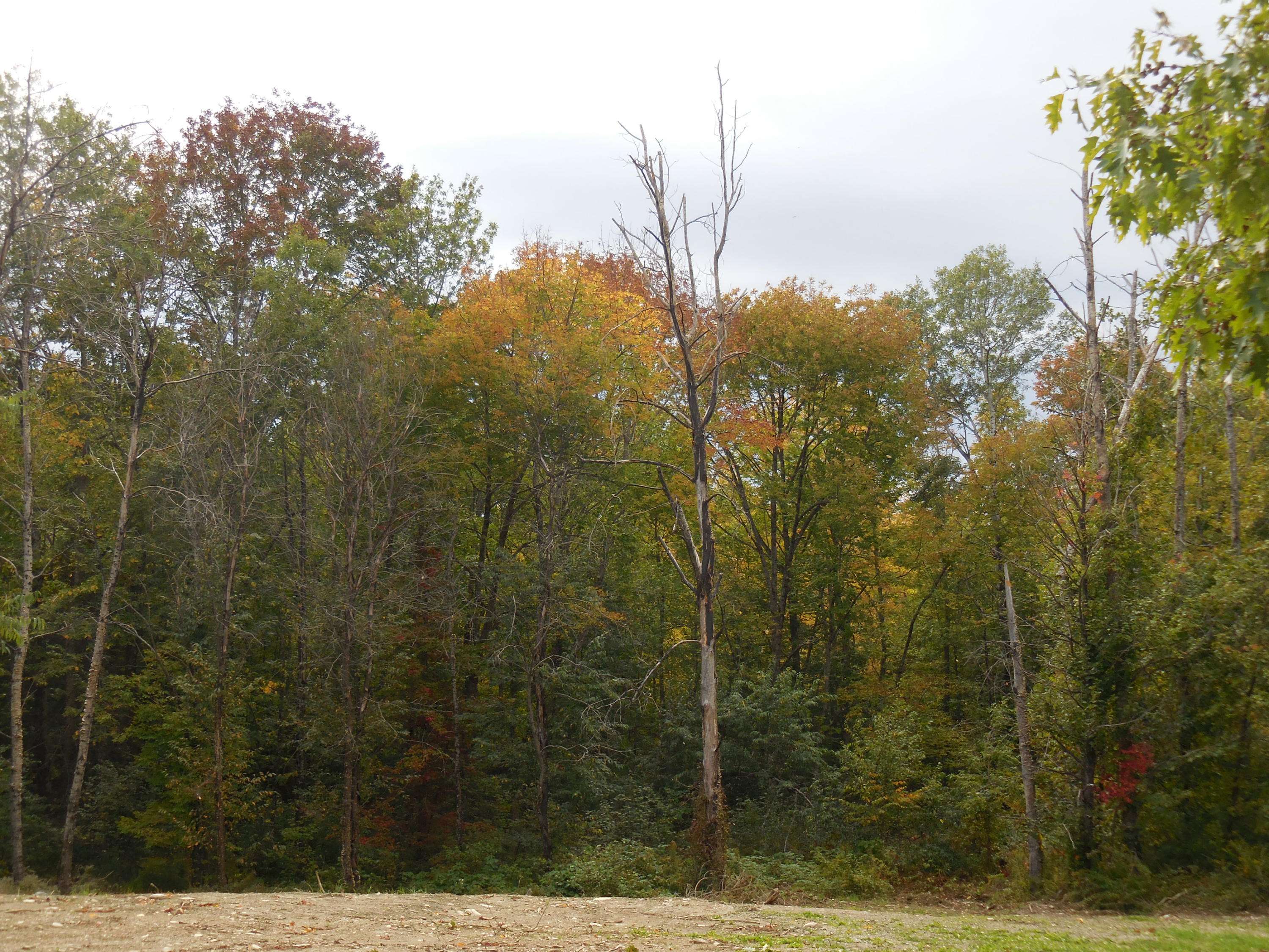 Newport, ME 04953,48 Hart St