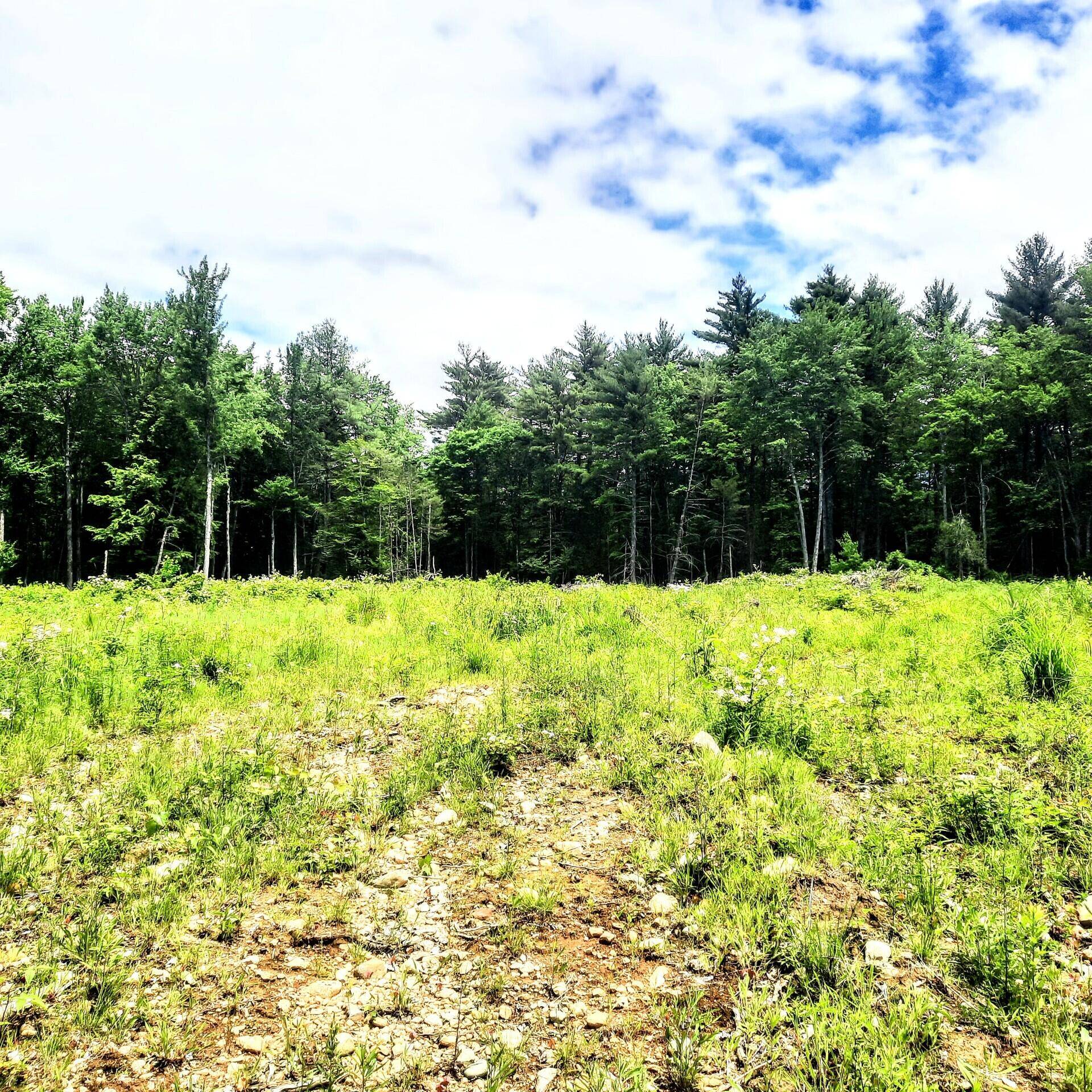 Belgrade, ME 04917,Lot 5 Dunn RD