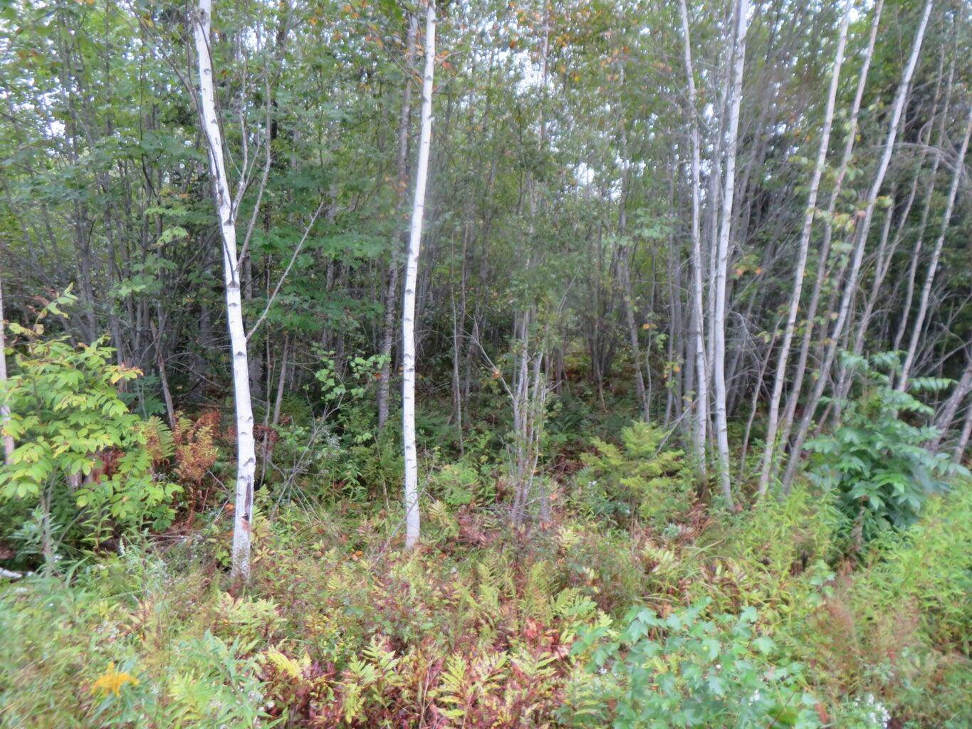 Kenduskeag, ME 04450,Lot 12 Stacey LN