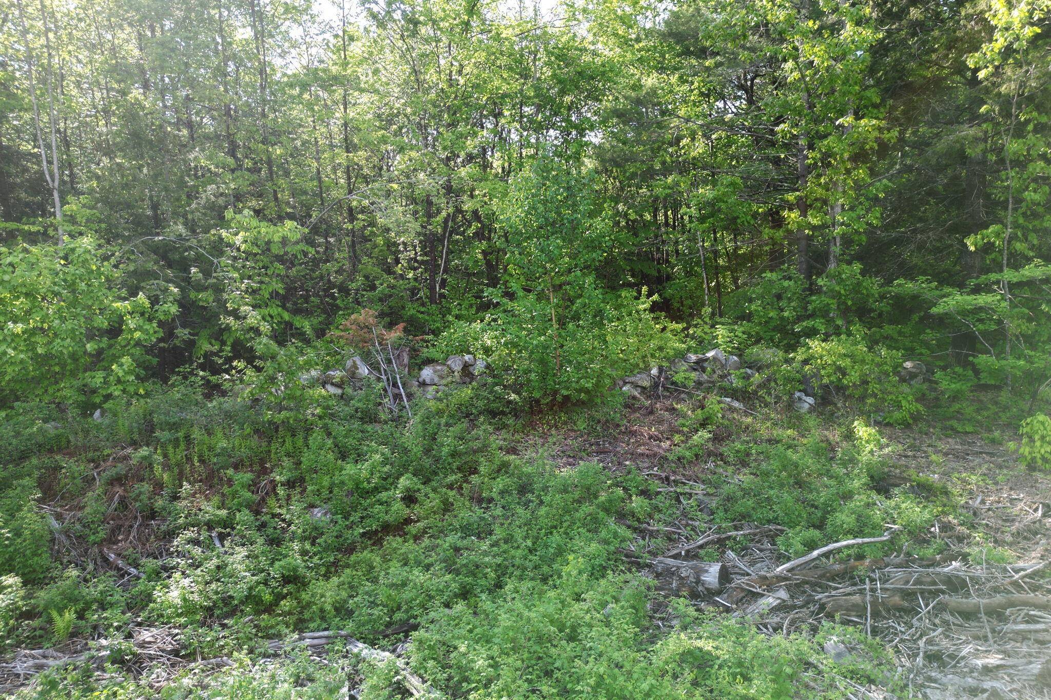 Turner, ME 04282,Lot16 Torrey Hill RD