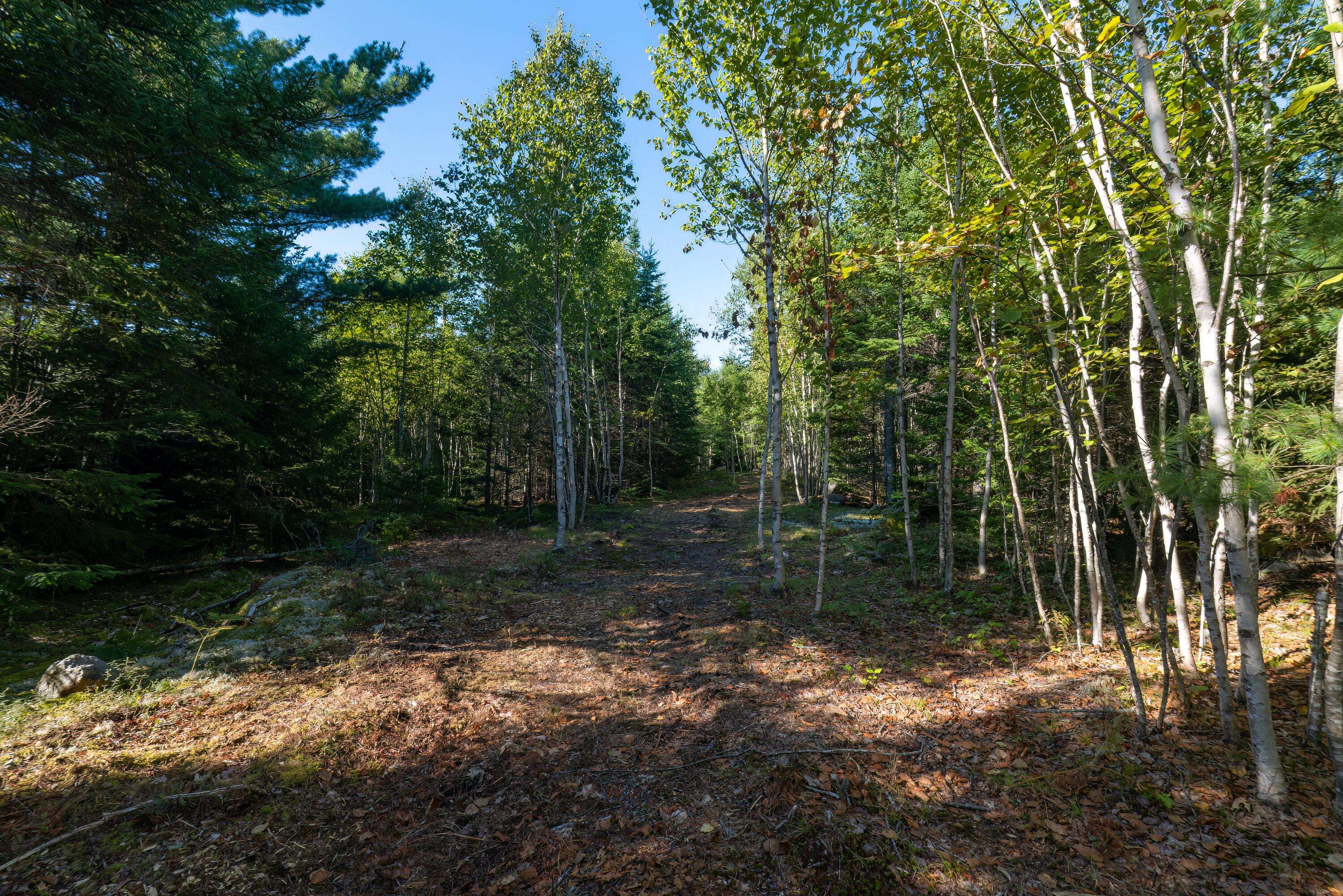 Franklin, ME 04634,Lot 11 Acadia View CIR