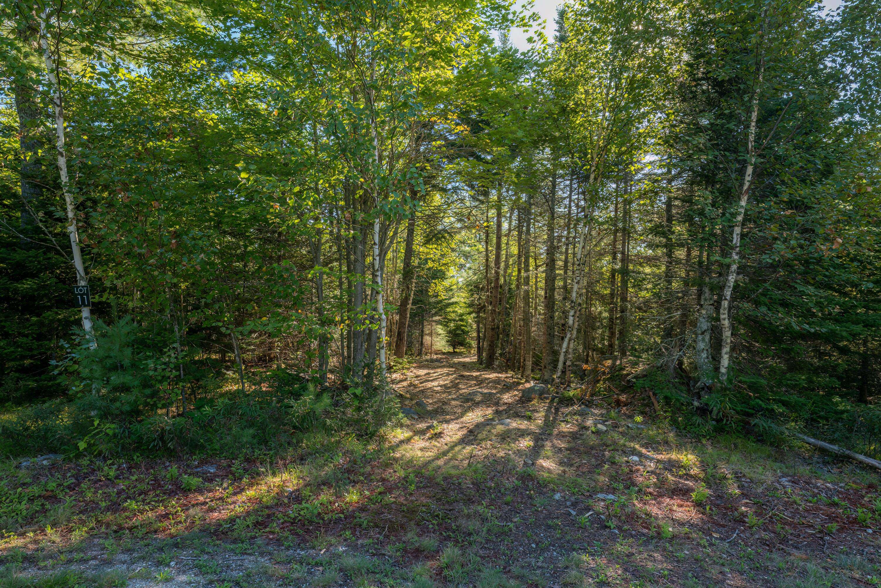 Franklin, ME 04634,Lot 11 Acadia View CIR