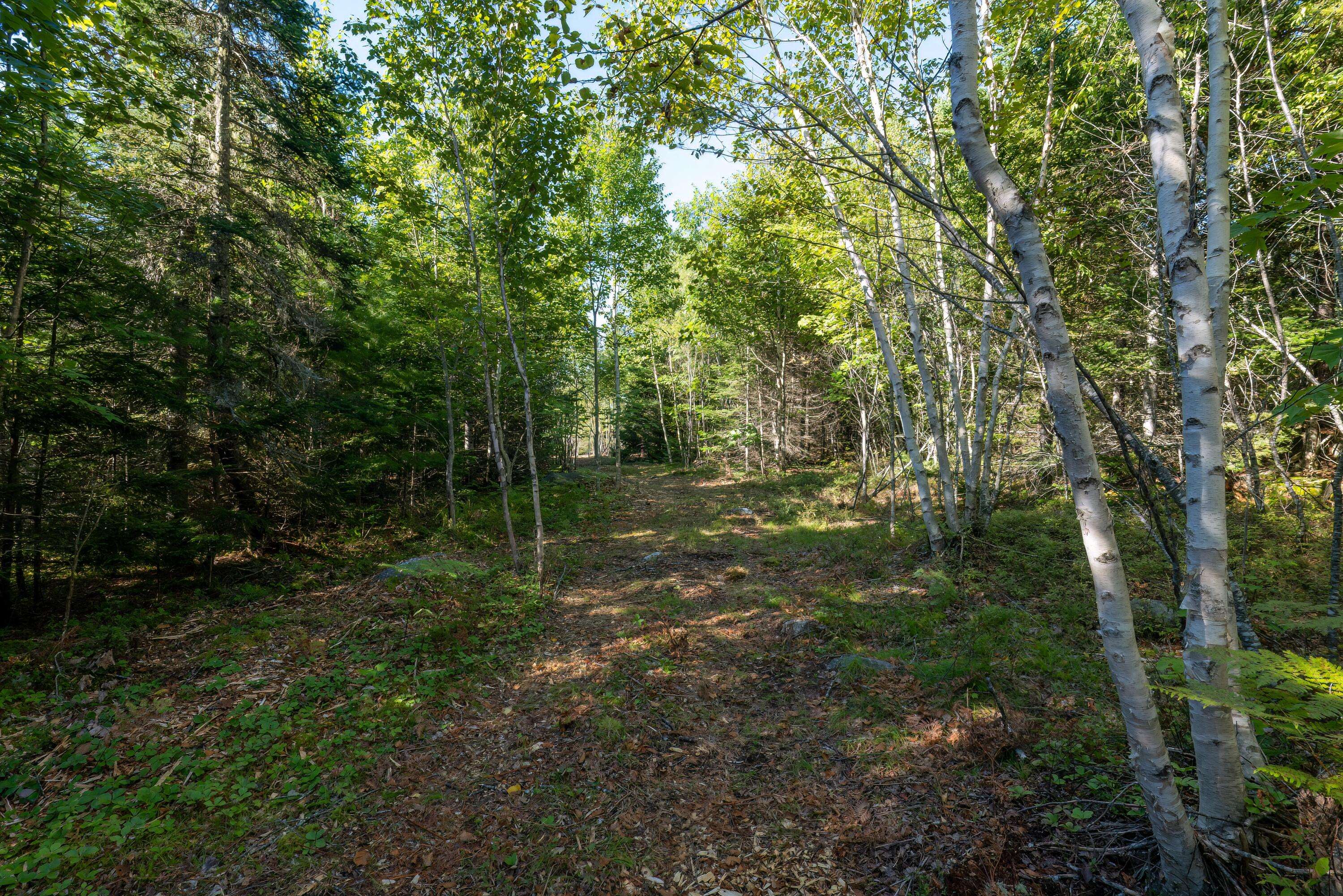 Franklin, ME 04634,Lot 11 Acadia View CIR