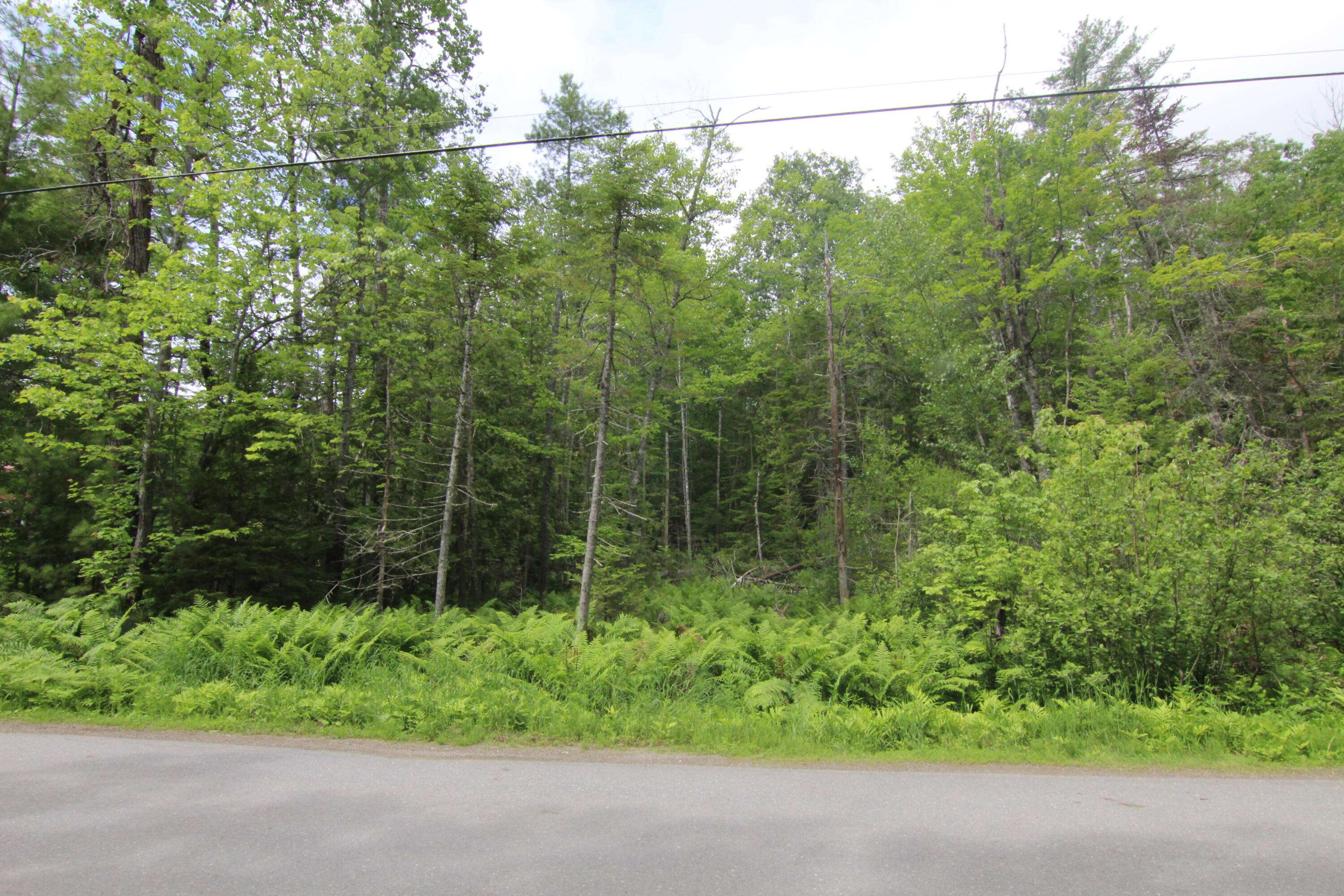 Orrington, ME 04474,Lot 37C Brewer Lake RD