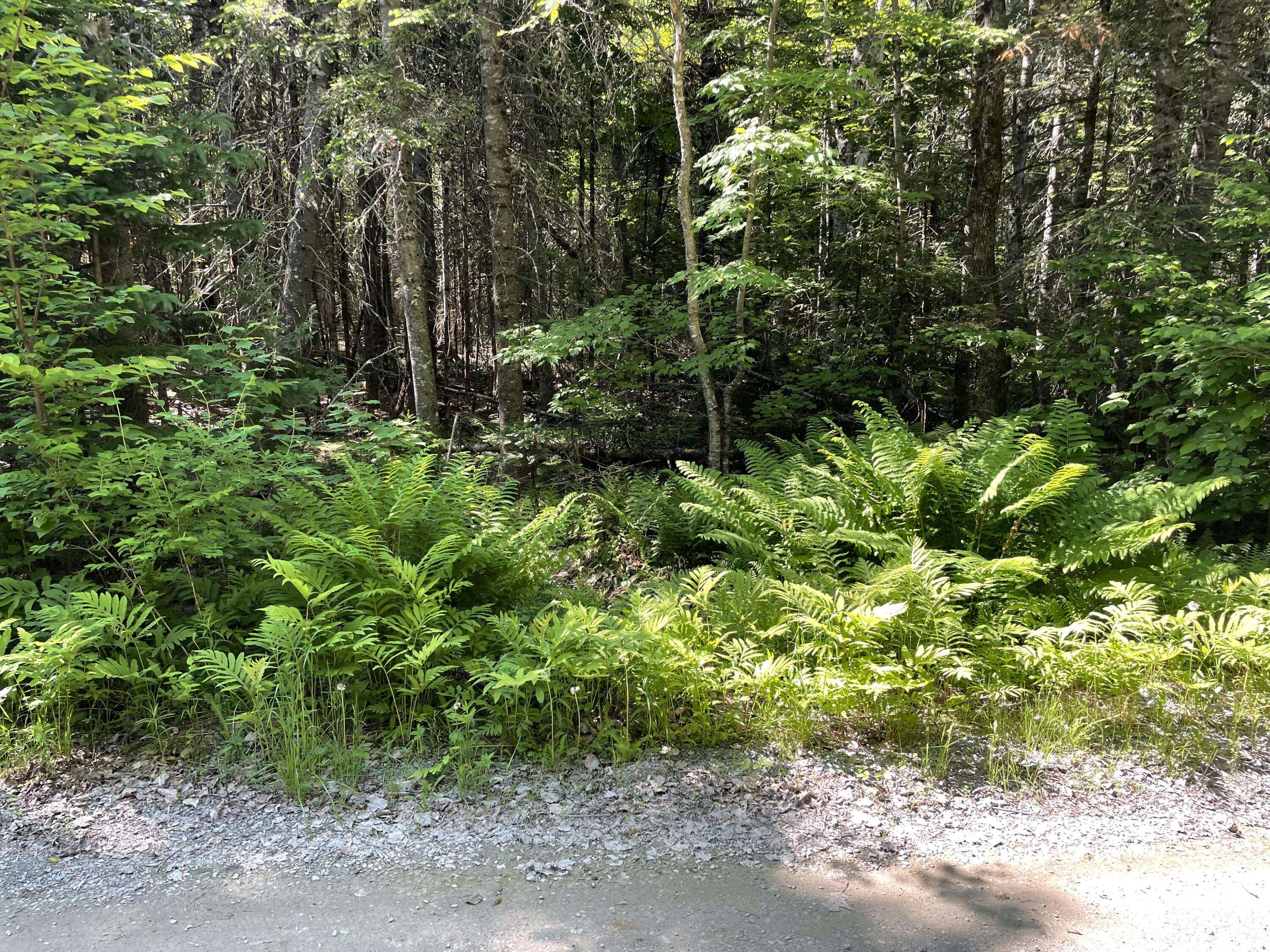 Newport, ME 04953,lot 9-4 Lilly DR