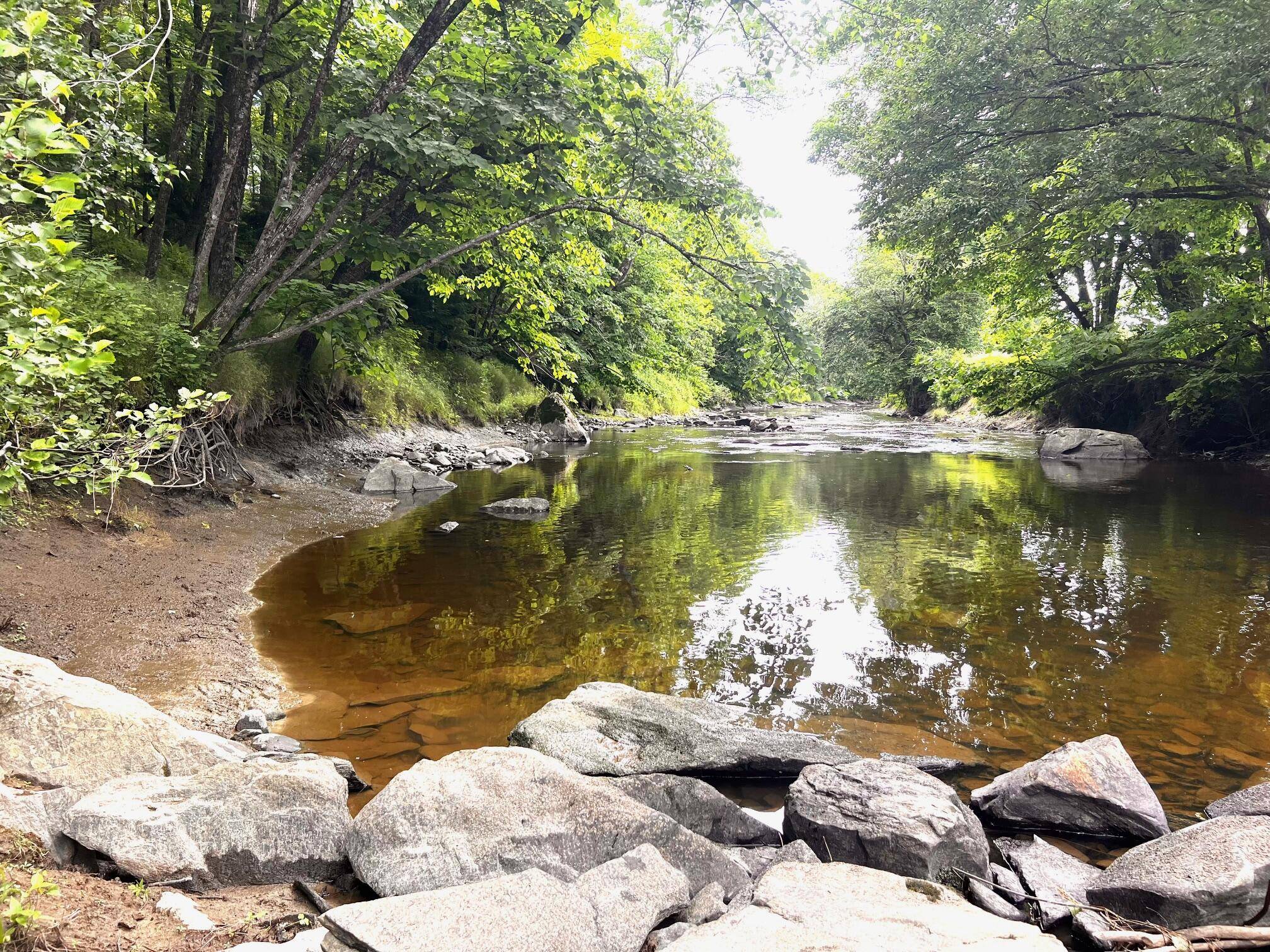 Farmington, ME 04938,543 Knowlton Corner RD