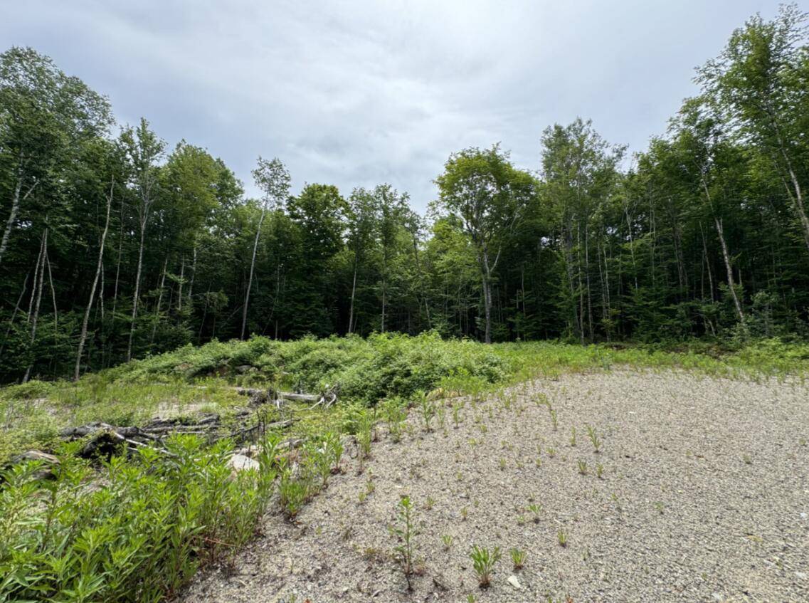 Cathance Twp, ME 04628,Lot WA-9 Smith Cove RD