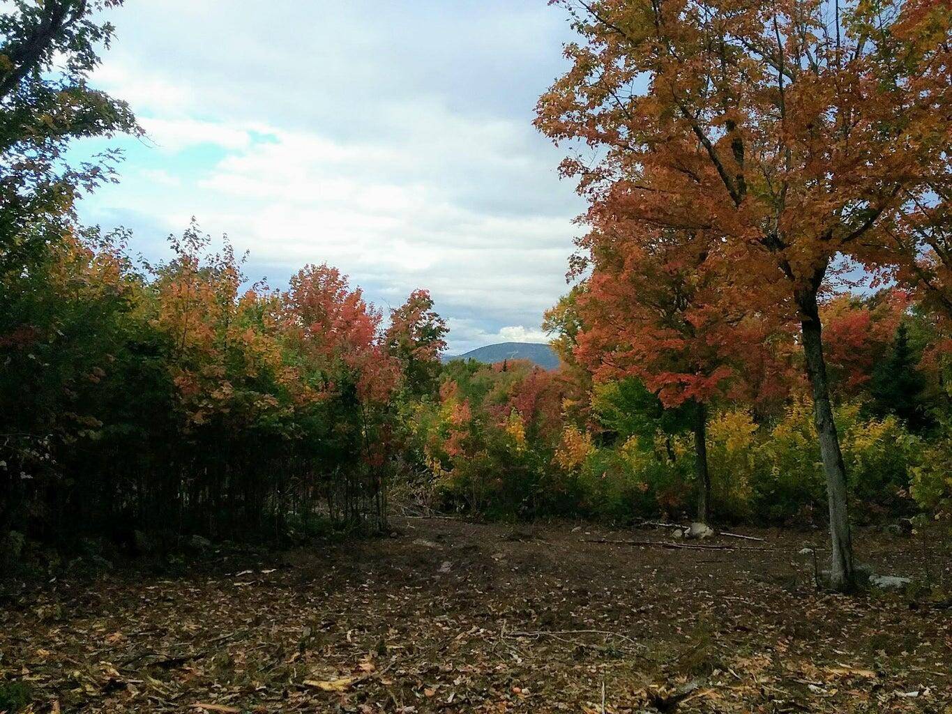Rangeley Plt, ME 04970,24, 25, 26 Rte 17
