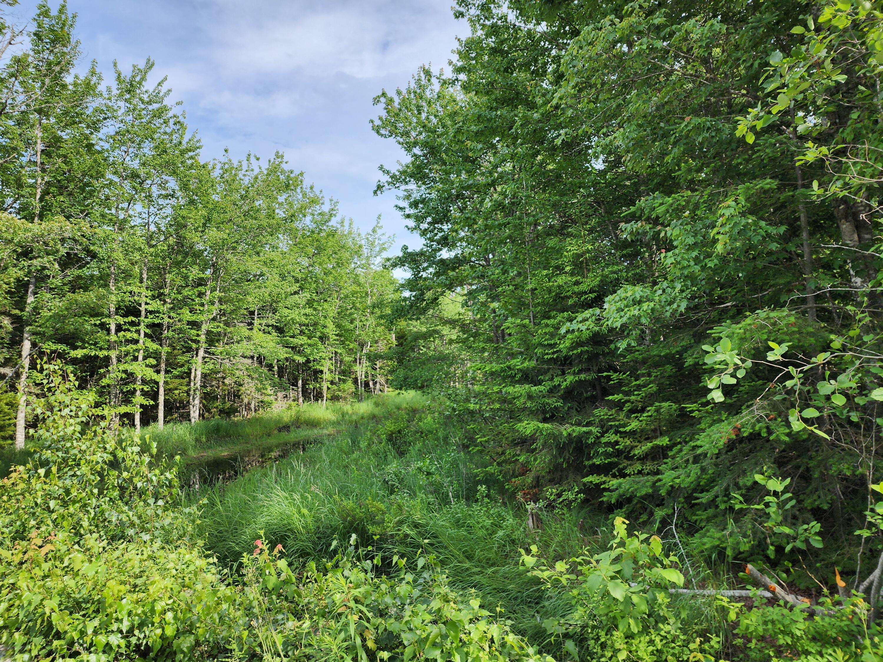 Trenton, ME 04605,53 Woodland DR