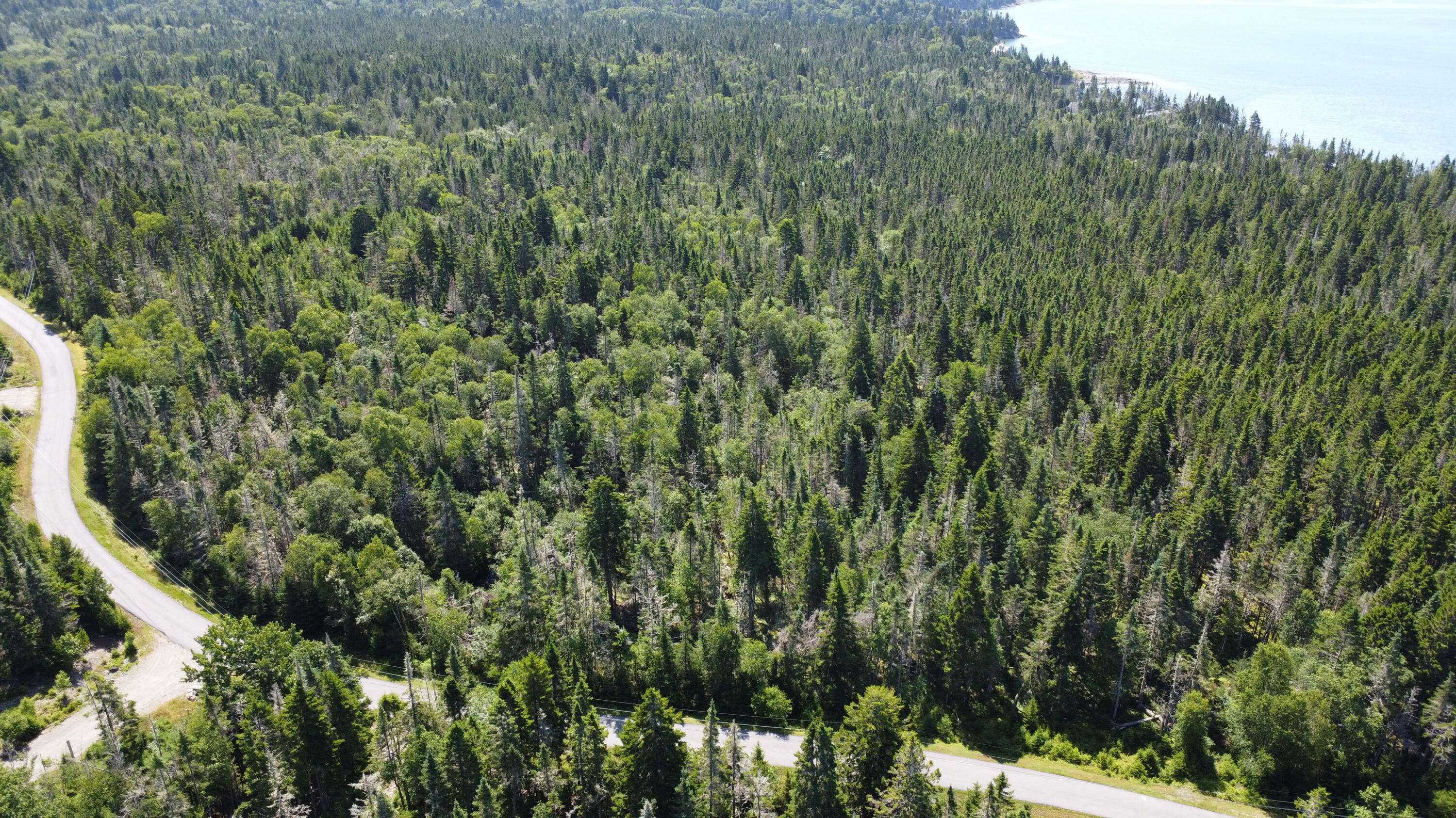 Machiasport, ME 04655,29 Yoho Head RD