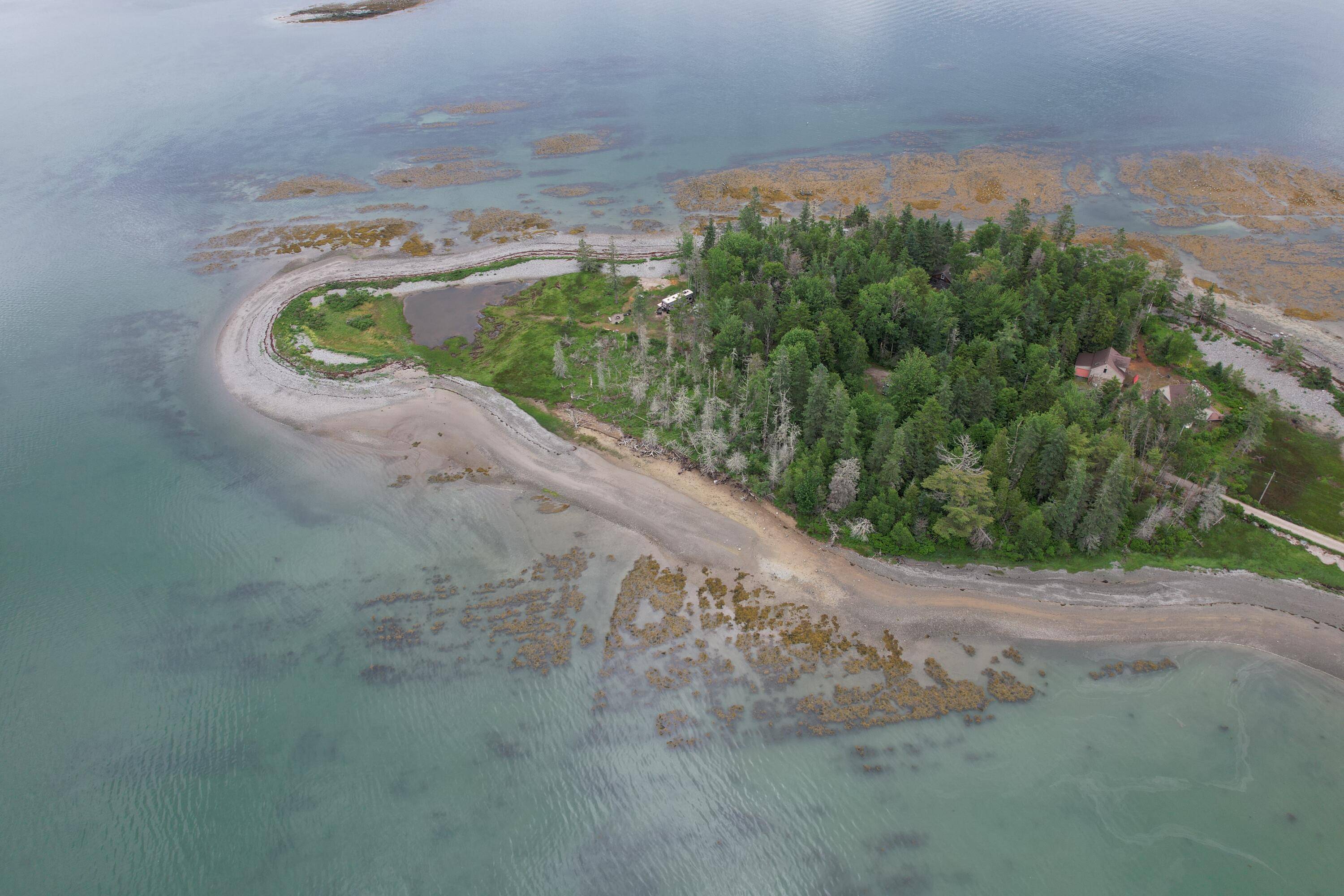 Lamoine, ME 04605,98 Meadow Point RD