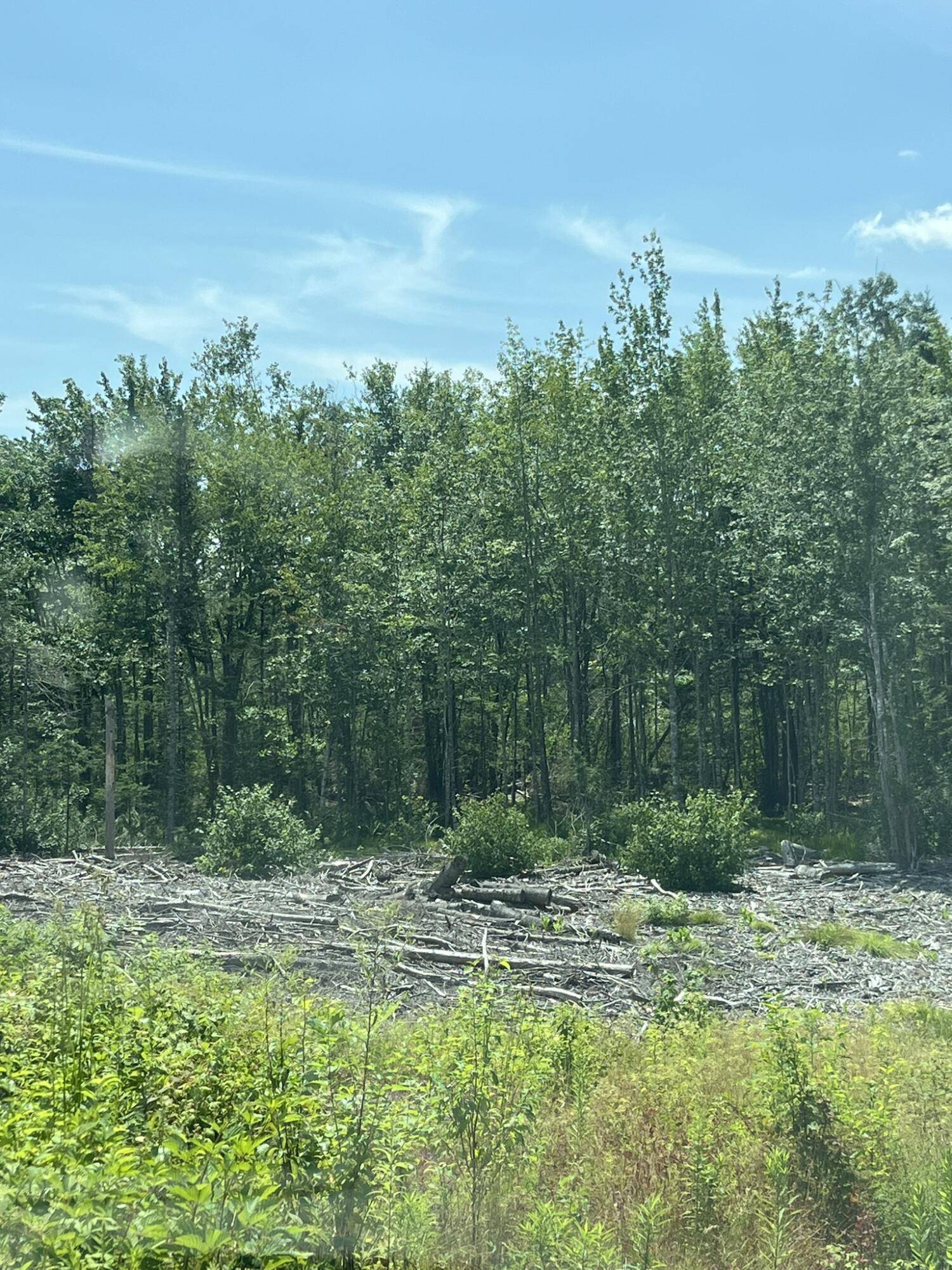 Pembroke, ME 04666,M12L1 Ayers Junction RD