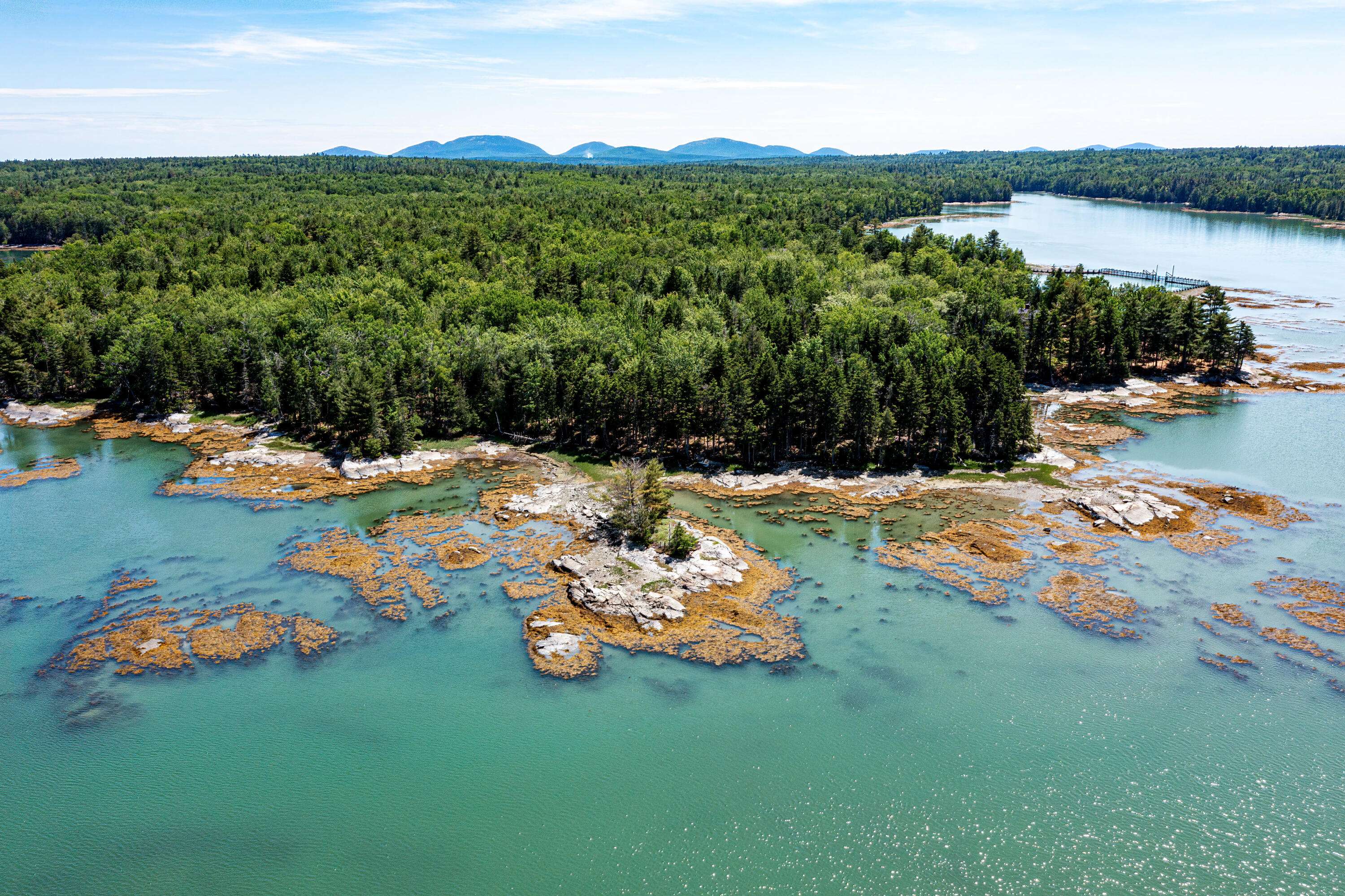 Lamoine, ME 04605,Lot #3 Seal Point Road