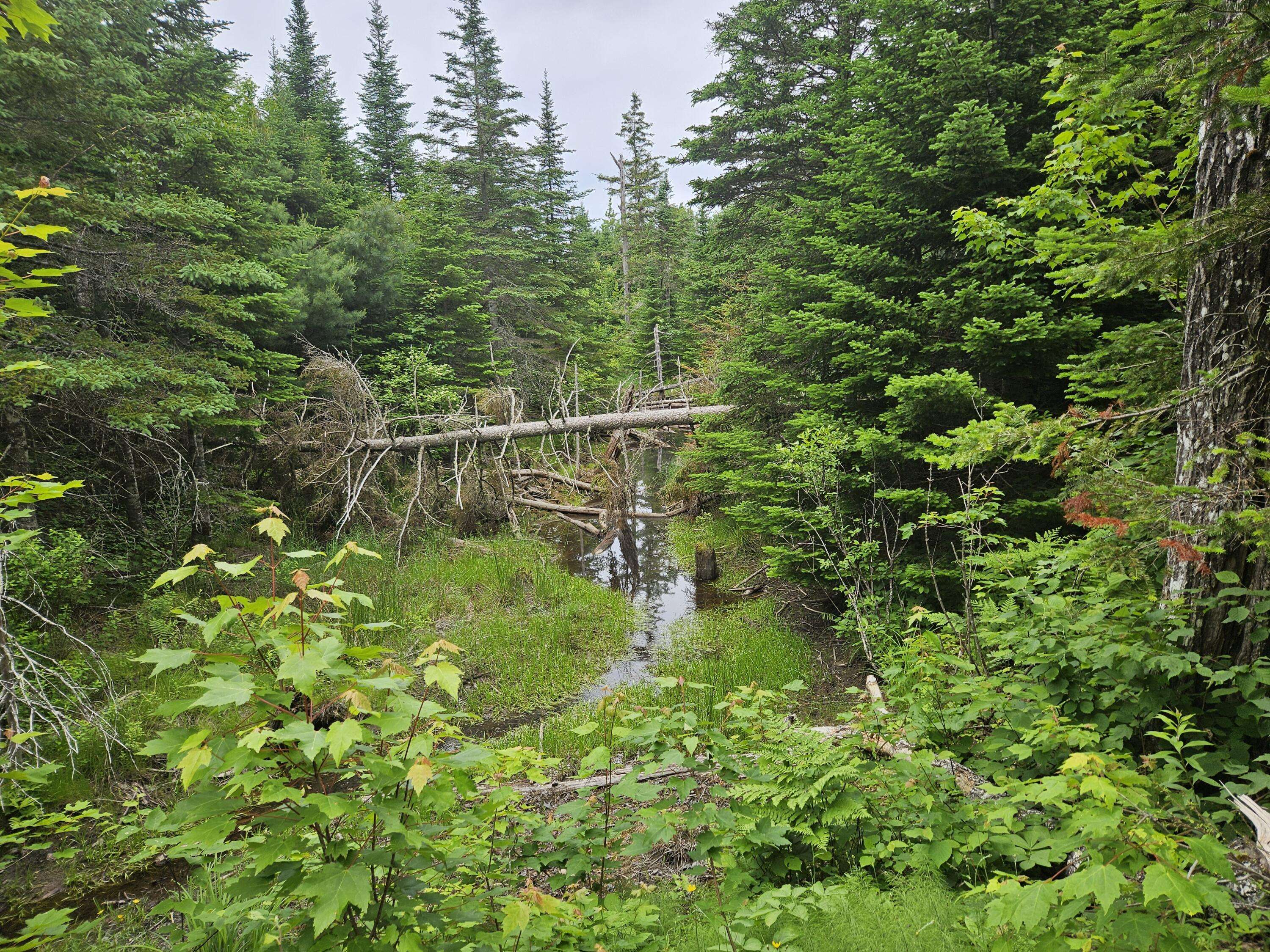 Steuben, ME 04680,5 US-1 Route