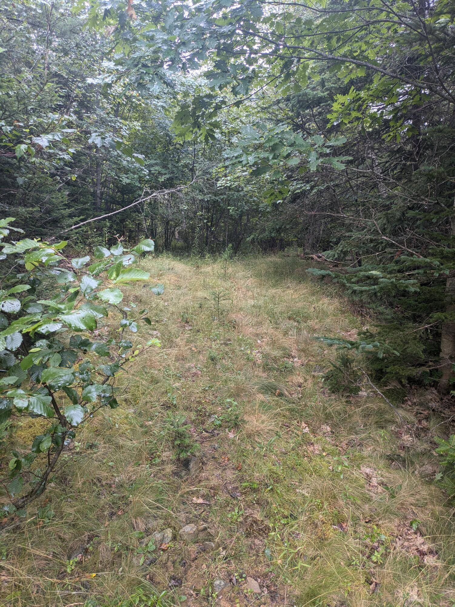 Cherryfield, ME 04622,280 Willey District RD