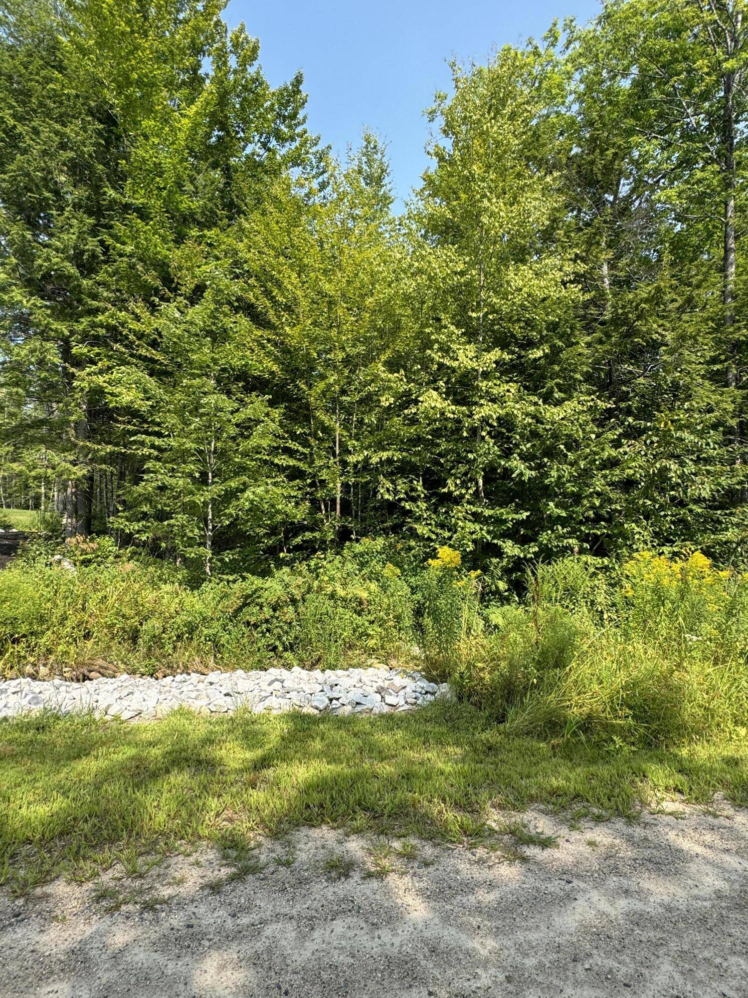 Sebago, ME 04029,Lot #11 Ward RD