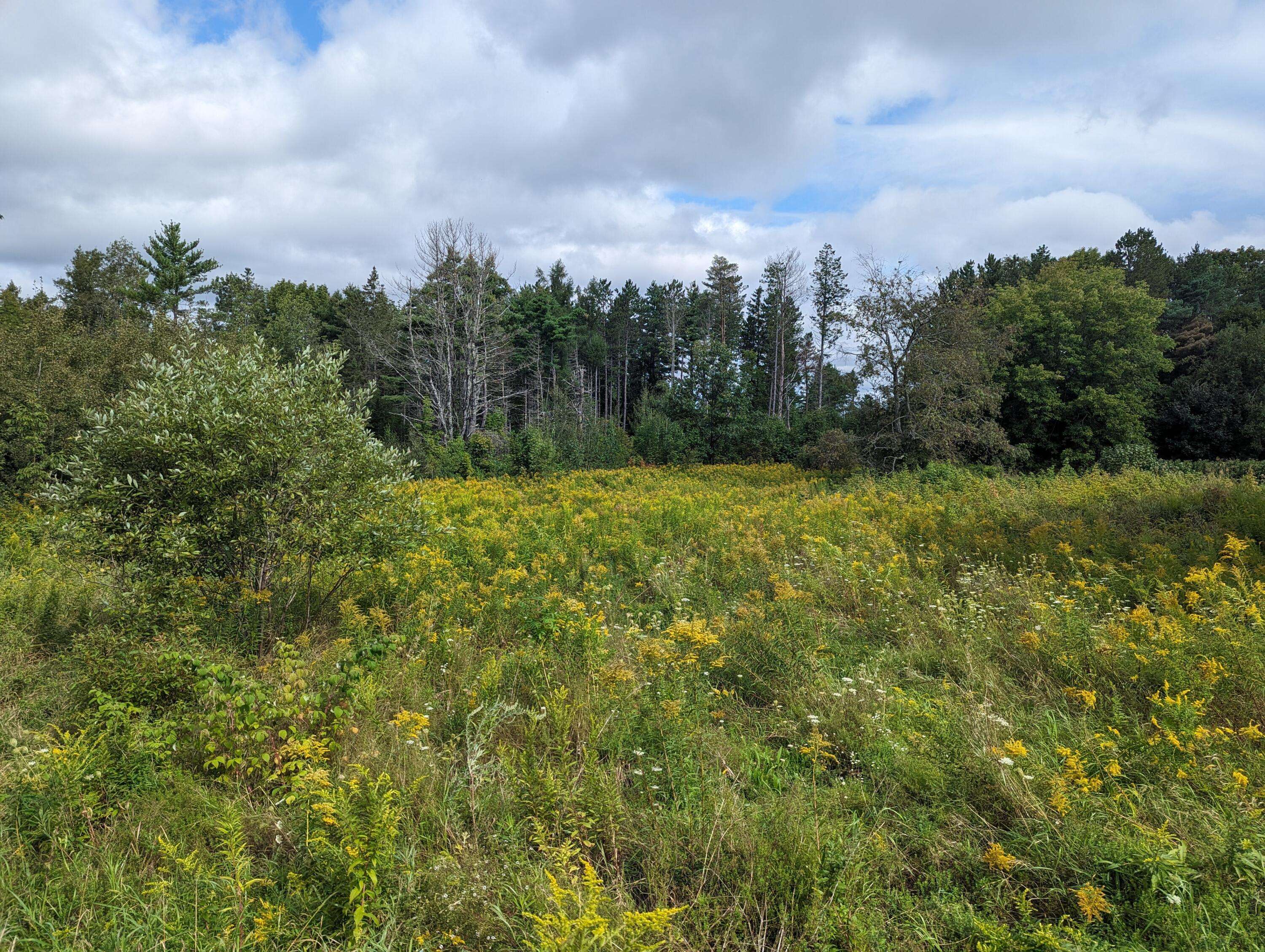 Hampden, ME 04444,TBD Western AVE