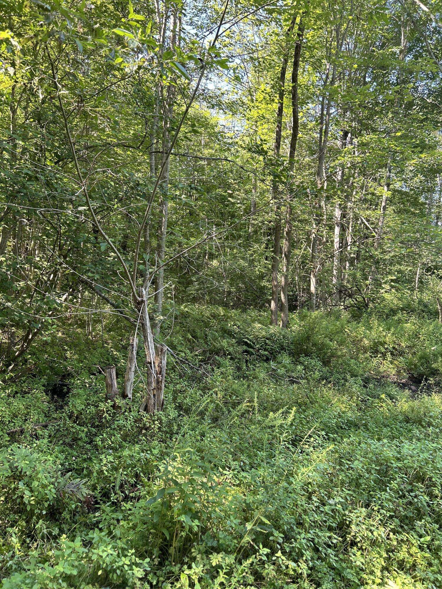 Pittston, ME 04345,20 part Wiscasset RD