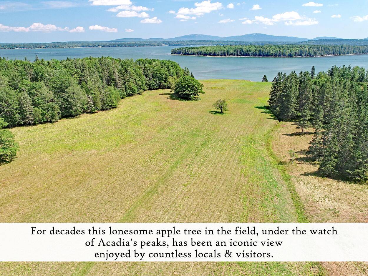 Trenton, ME 04605,607 Oak Point RD