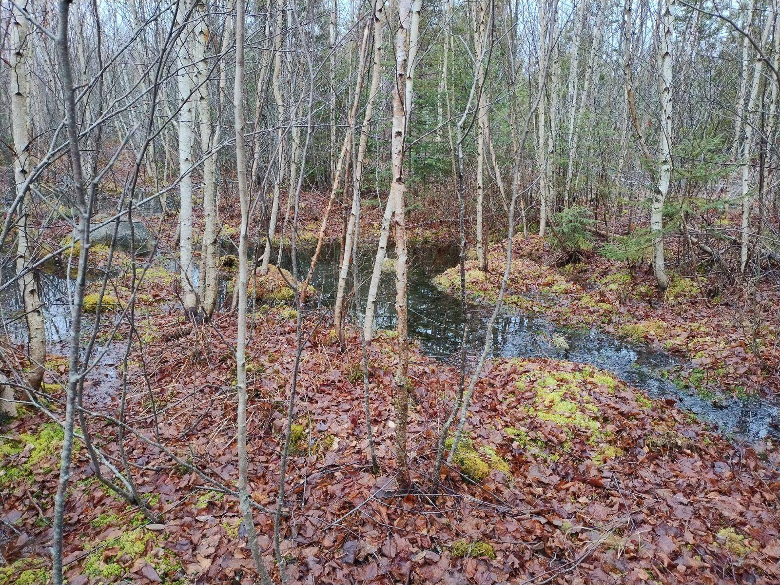 Steuben, ME 04680,145 Dyer Bay Wood RD