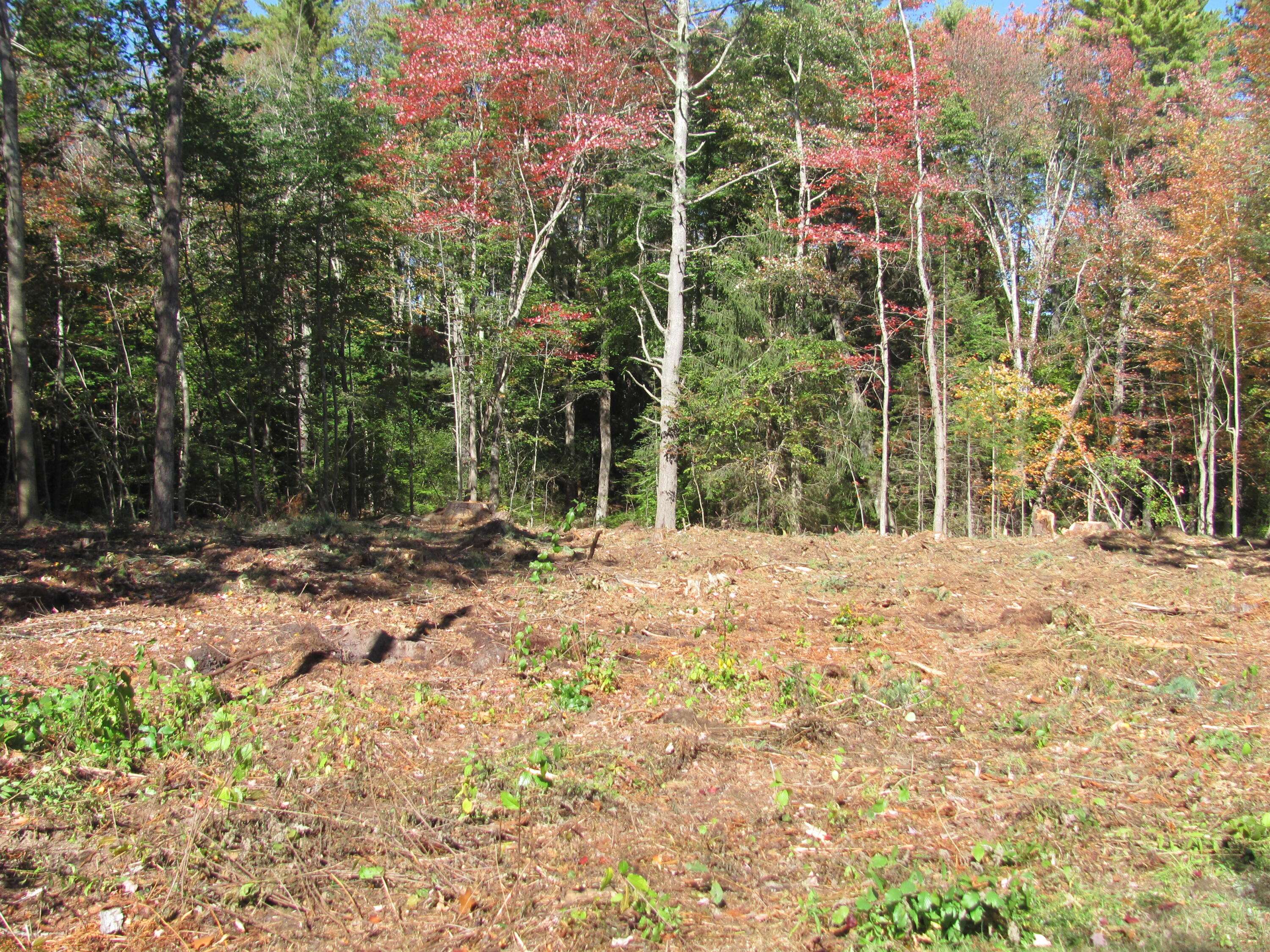 Kennebunk, ME 04043,00 Summer st. ST