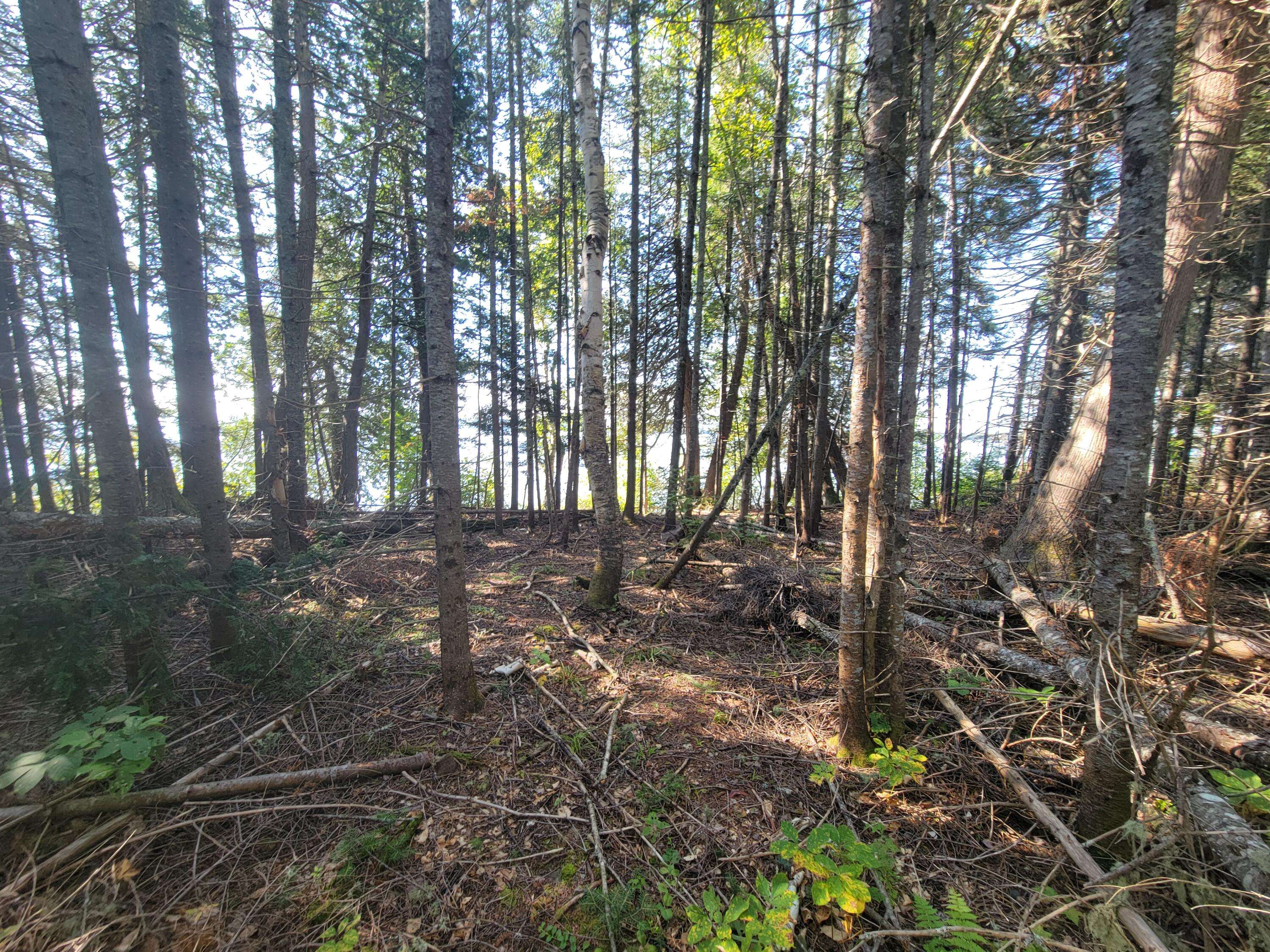 T16 R5 Wels, ME 04779,Lot161/162 Abraham Point Rd