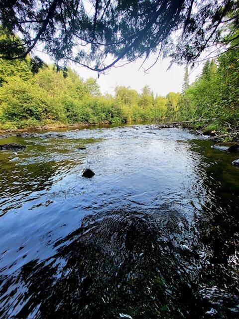Houlton, ME 04730,M2L2 Back Ridge RD