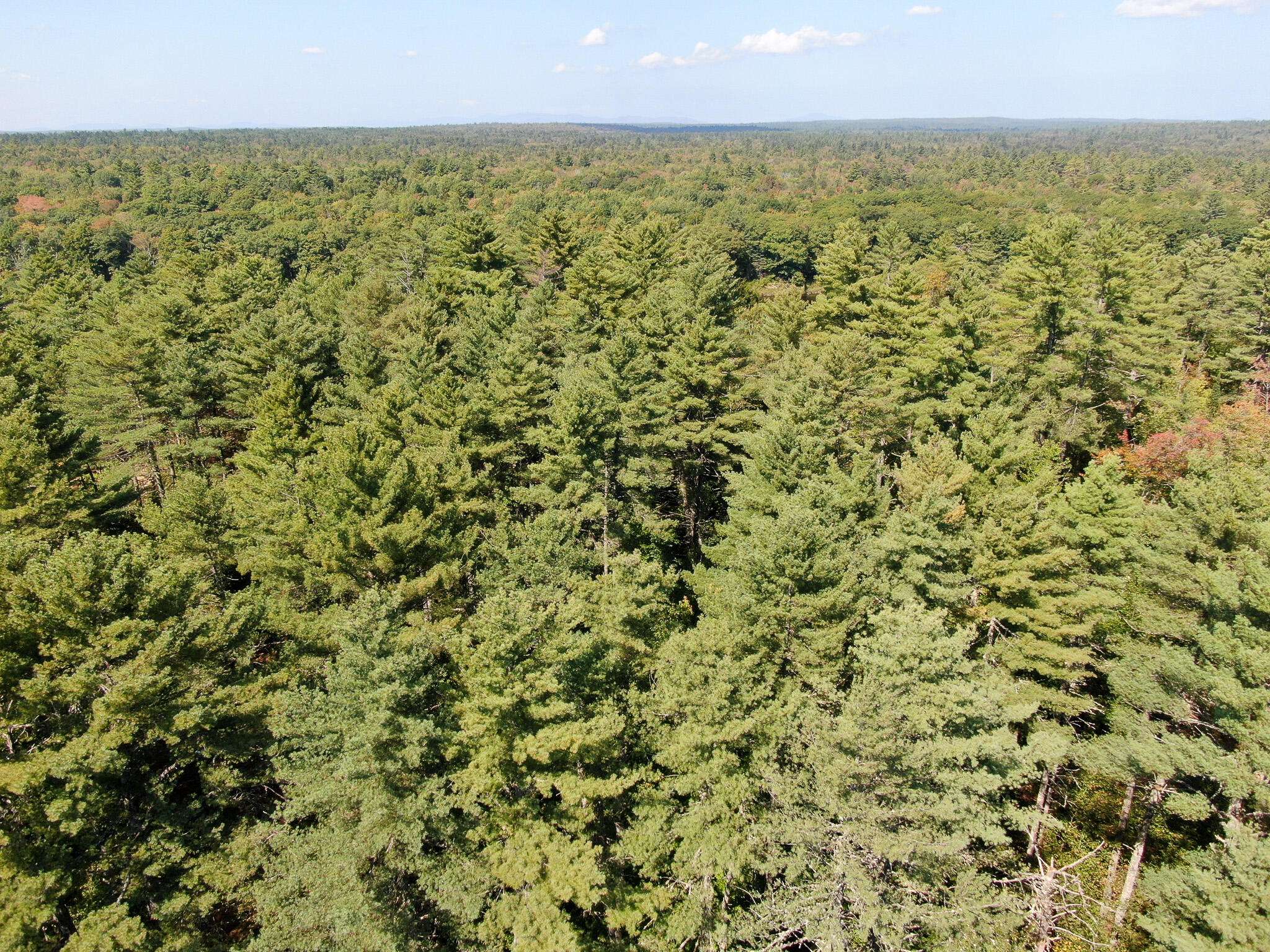 Maxfield, ME 04453,M2L18A-2 River RD