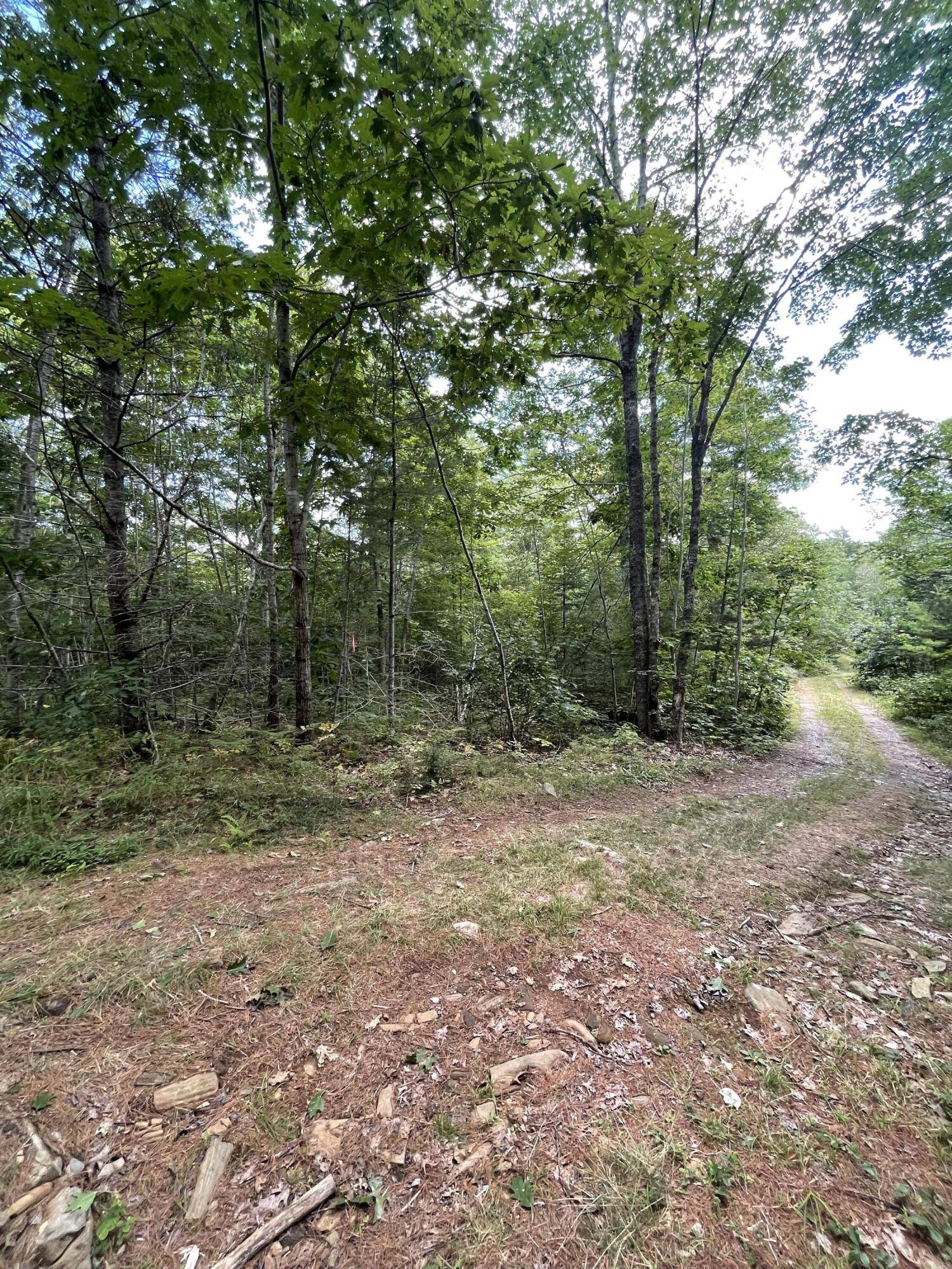 Bremen, ME 04551,Lot #68-6 Webber WAY