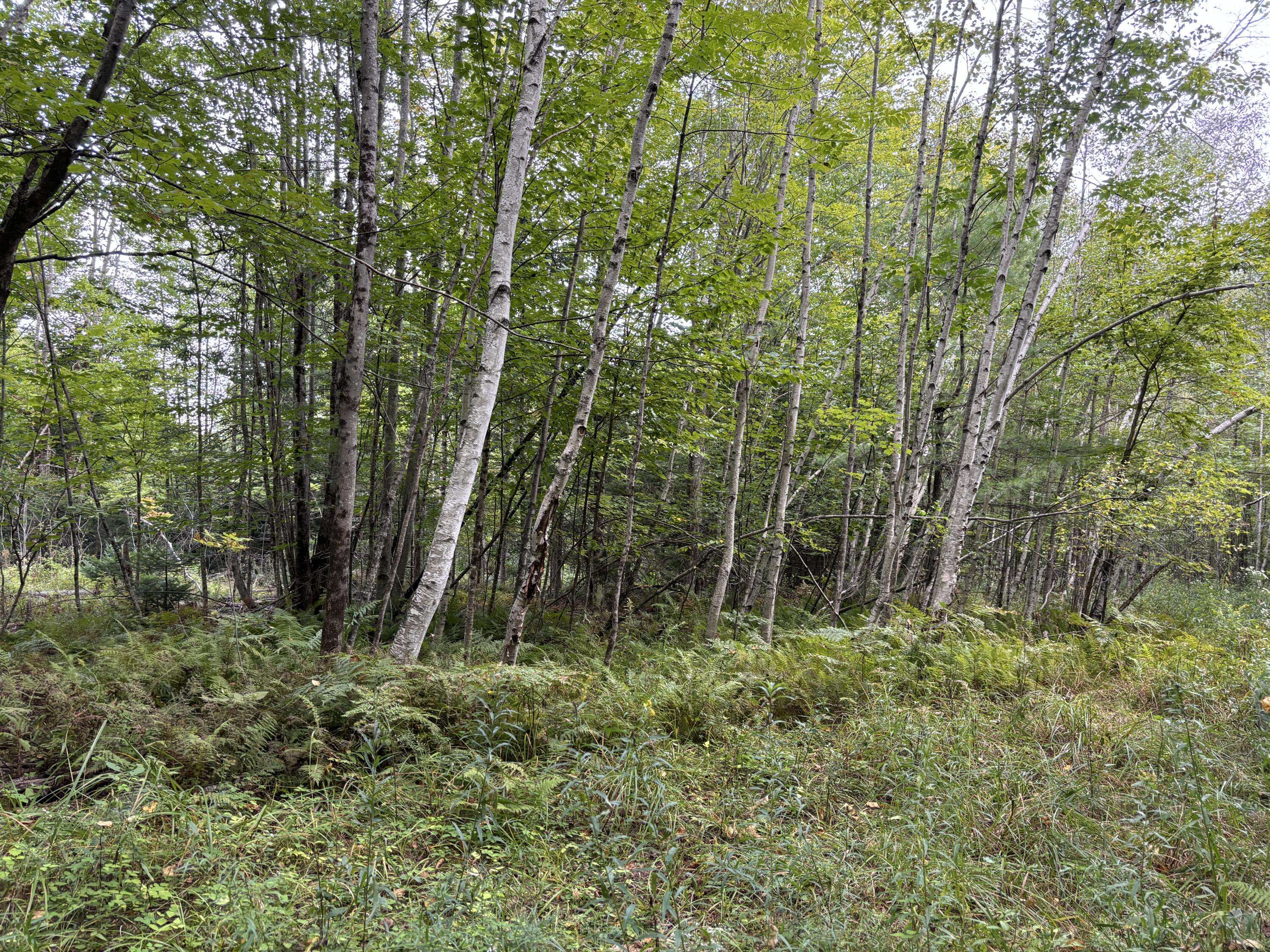 Readfield, ME 04355,Lot 8 Town Farm RD