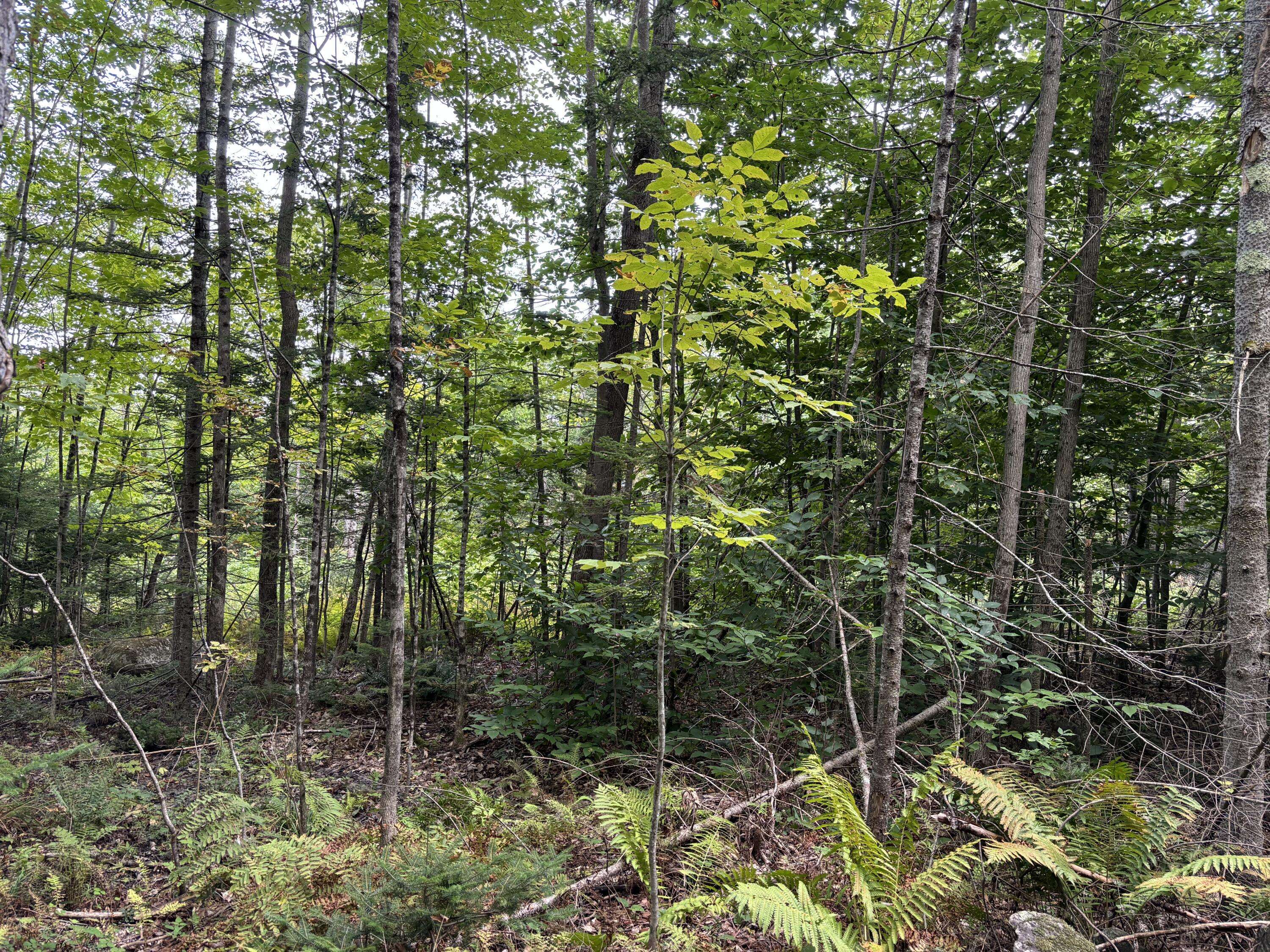 Readfield, ME 04355,Lot 8 Town Farm RD