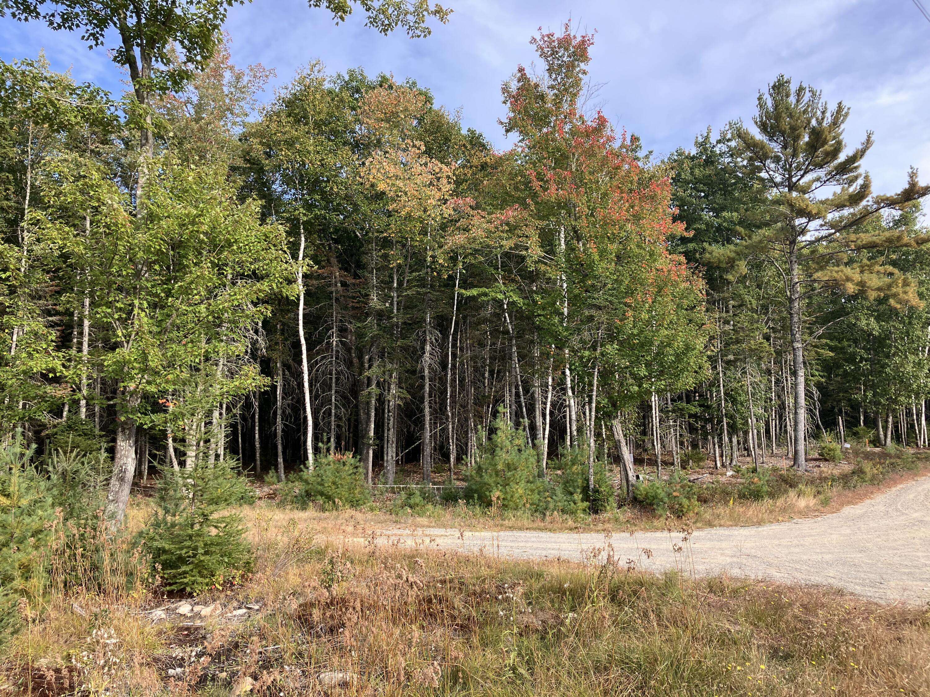 Bar Harbor, ME 04609,Lot 5 Bluff RD