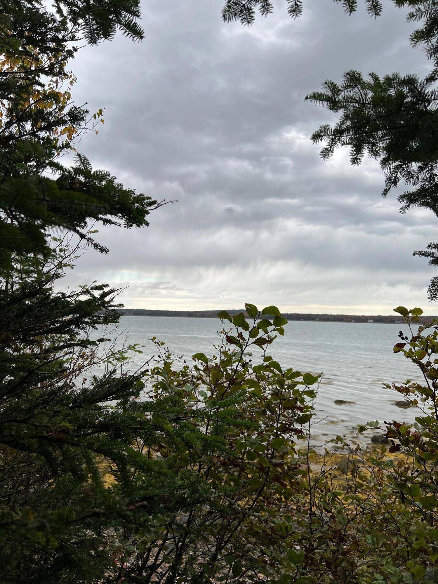 Gouldsboro, ME 04624,012 Paul Bunyan RD