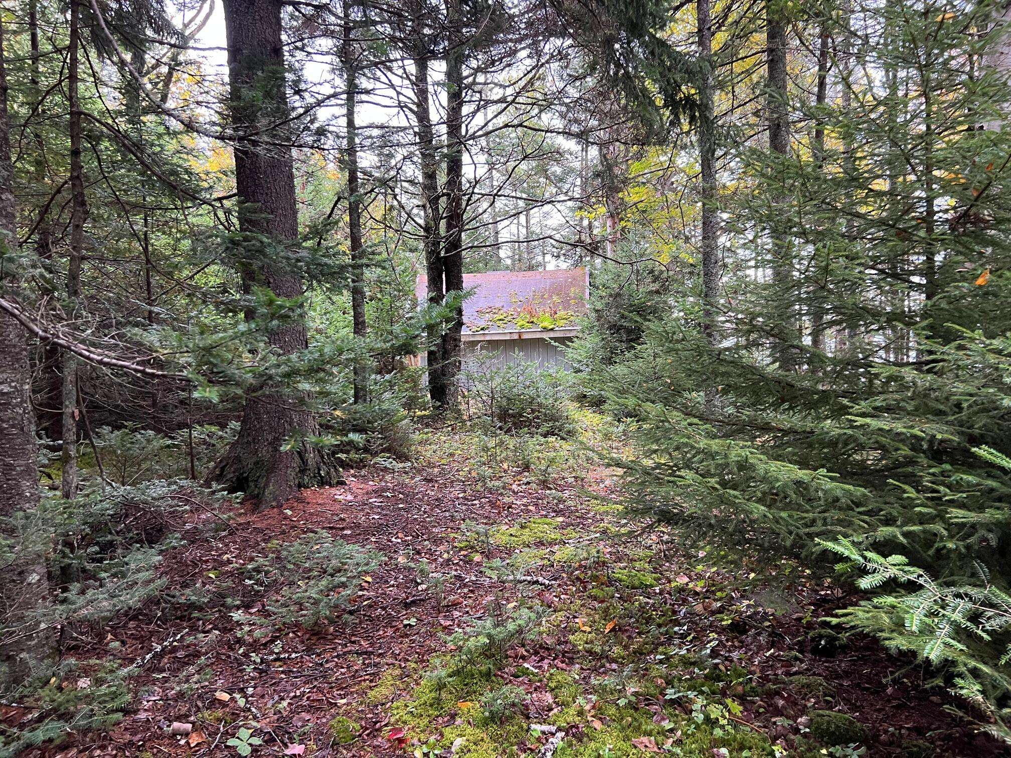 Gouldsboro, ME 04624,012 Paul Bunyan RD