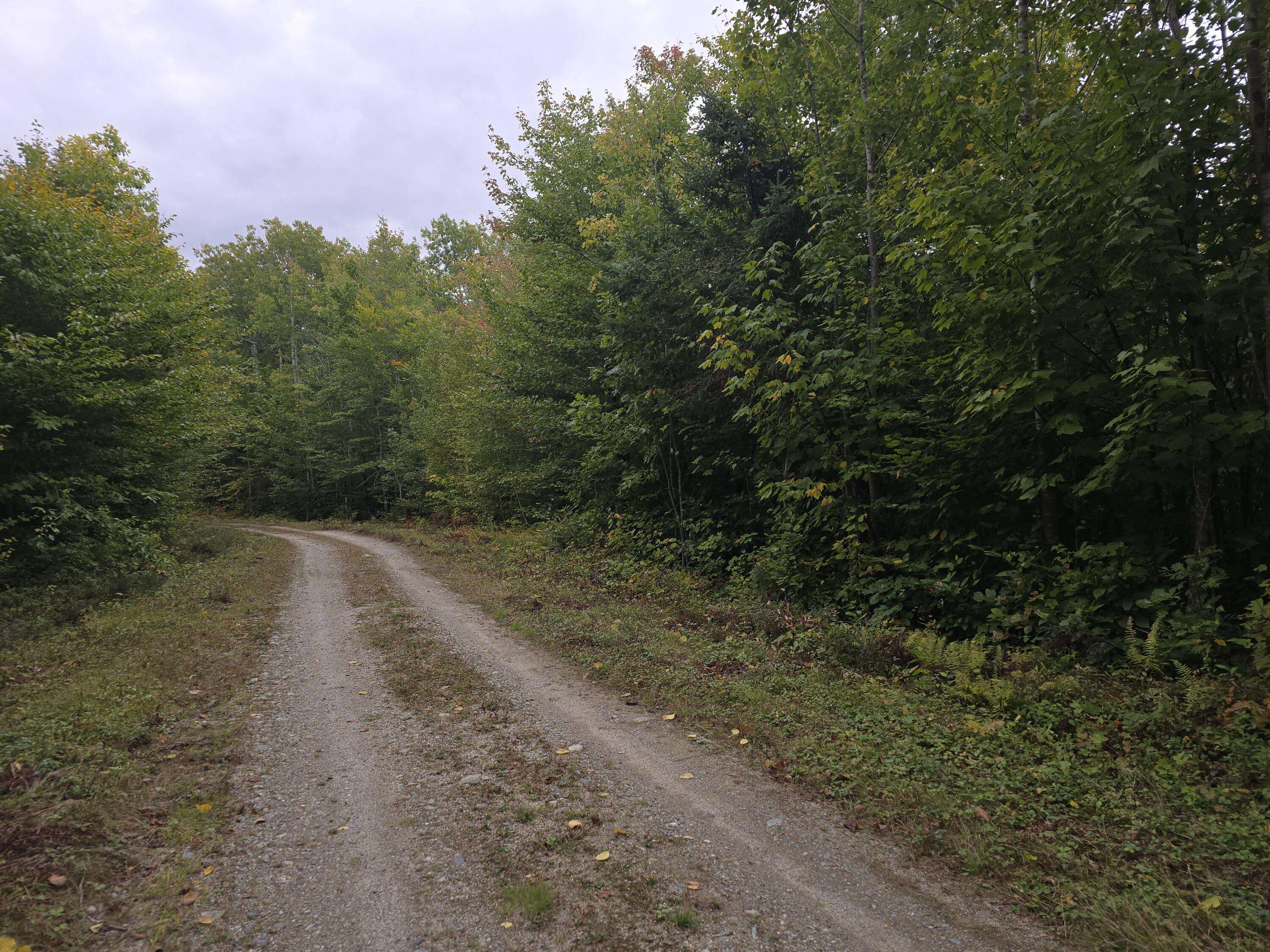 Deblois, ME 04622,Lot 35 Lower RD