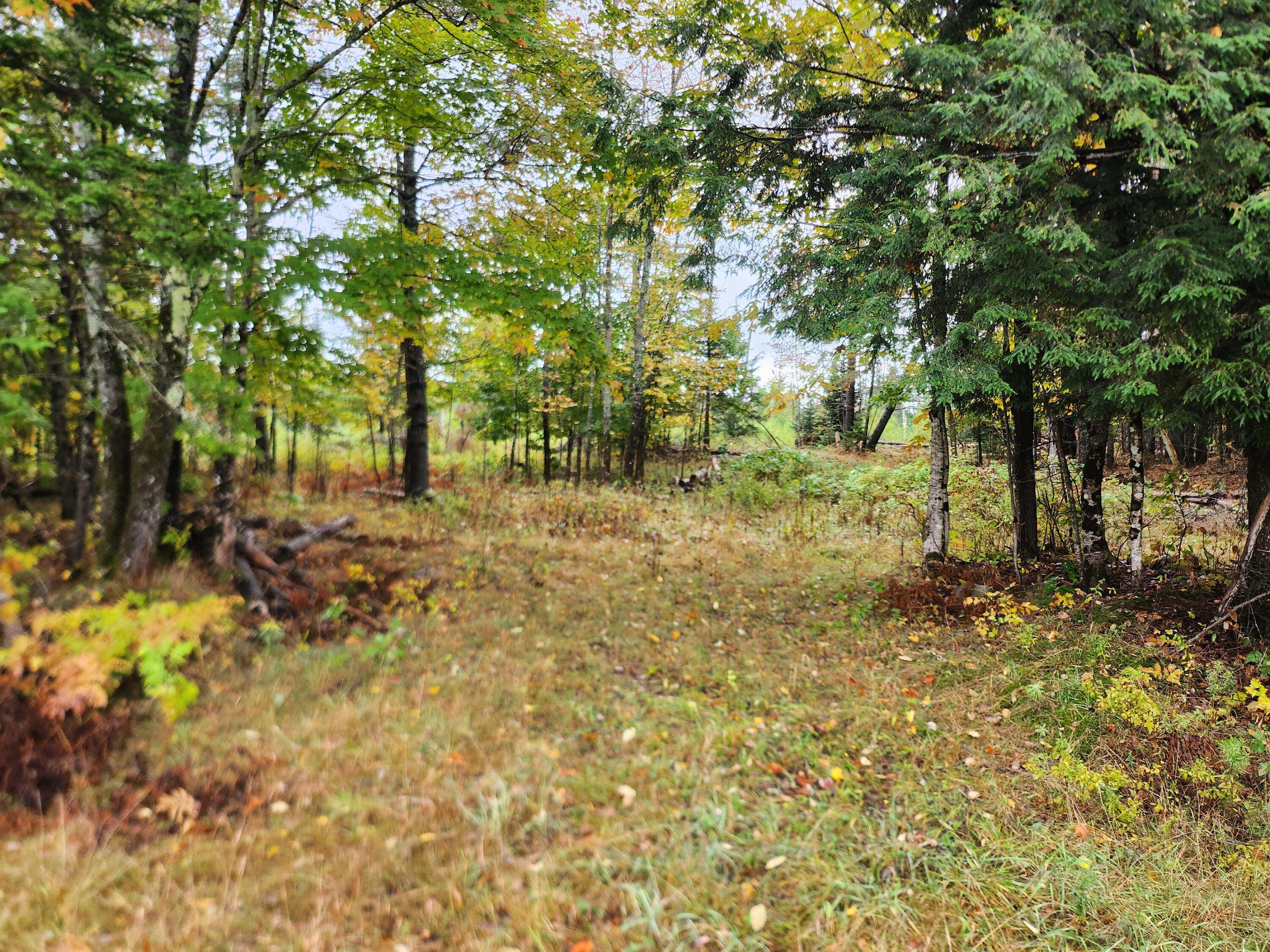 Ripley, ME 04930,Lot 46 Lane RD