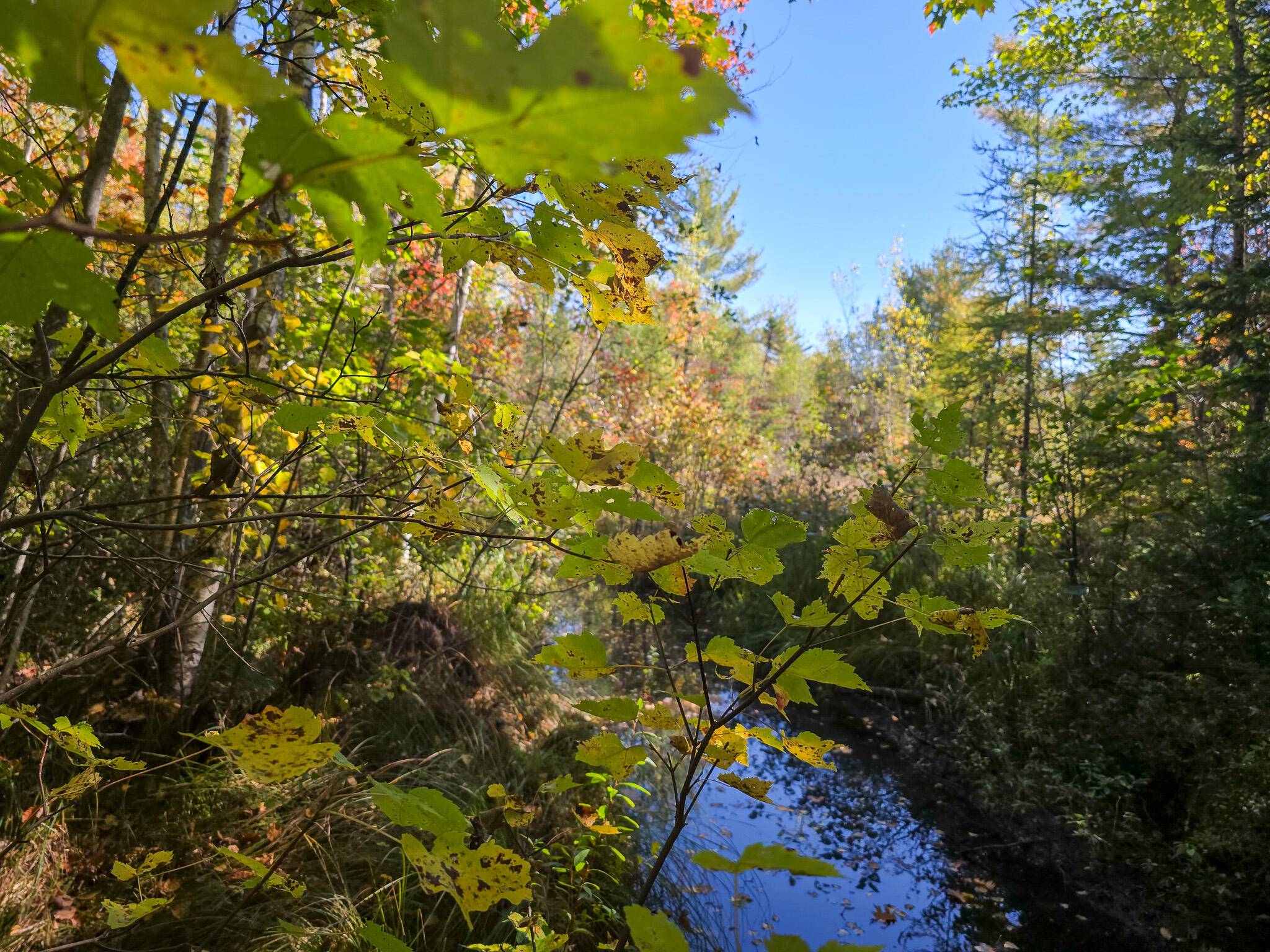 Passadumkeag, ME 04475,M3L25 Off Rt 2