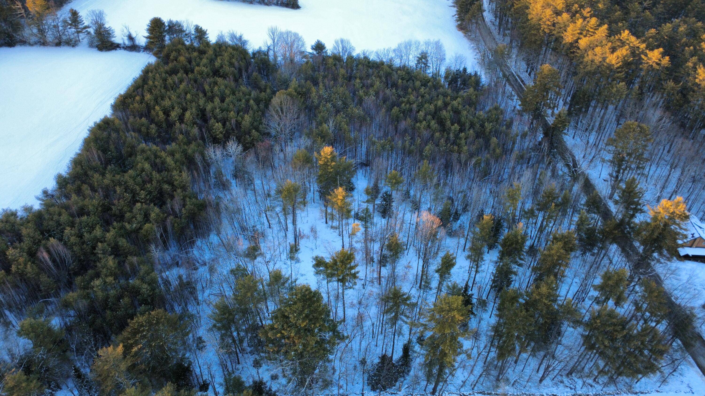 Waterford, ME 04088,Lot 12A Bear Pond RD