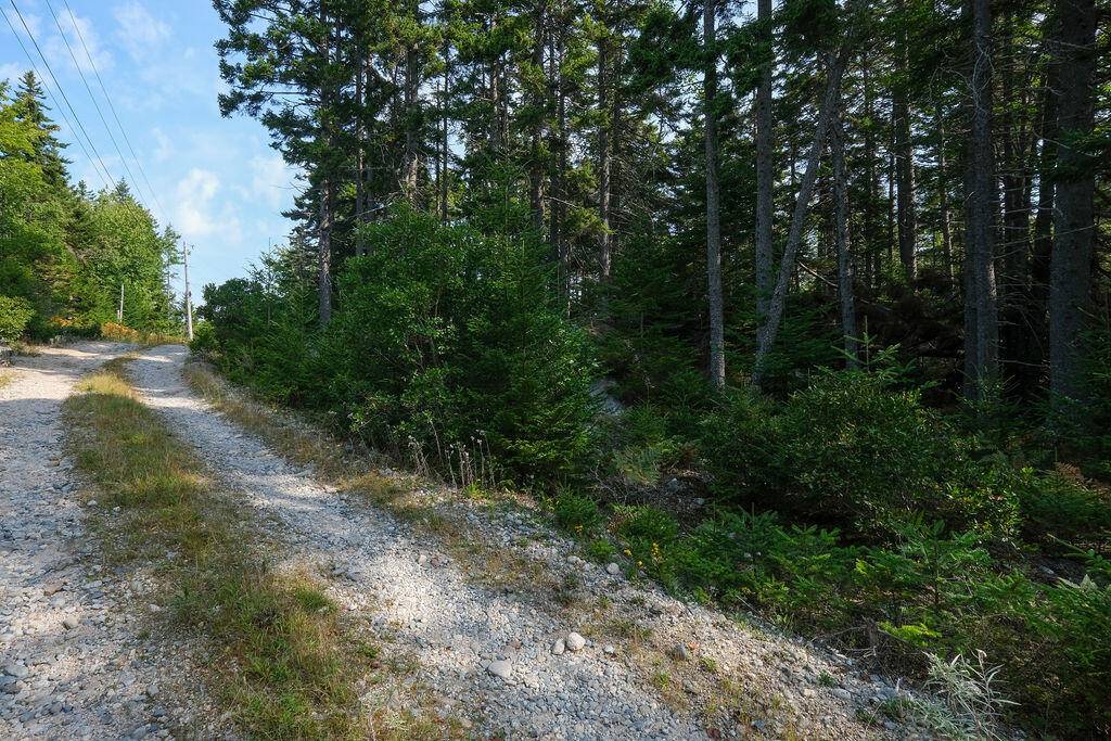 Stonington, ME 04681,12-3 S S Burnt Cove RD