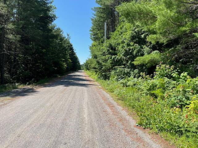 Mariaville, ME 04605,Lot 005 Dority Farm RD