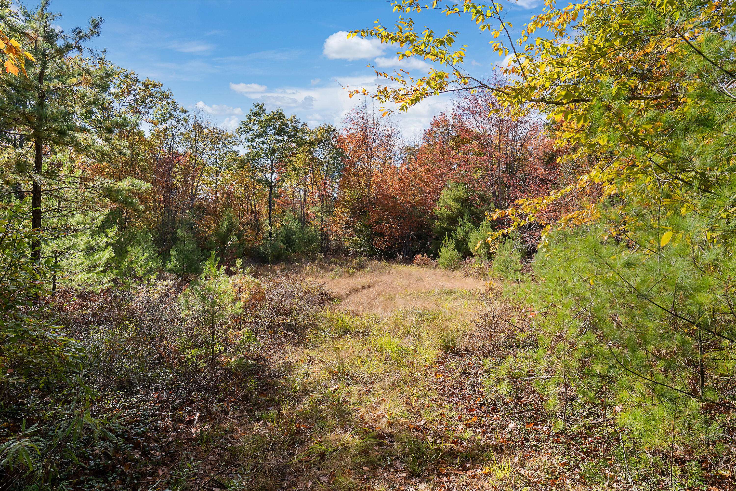 Berwick, ME 03901,TBD Long Swamp RD #Lot 3