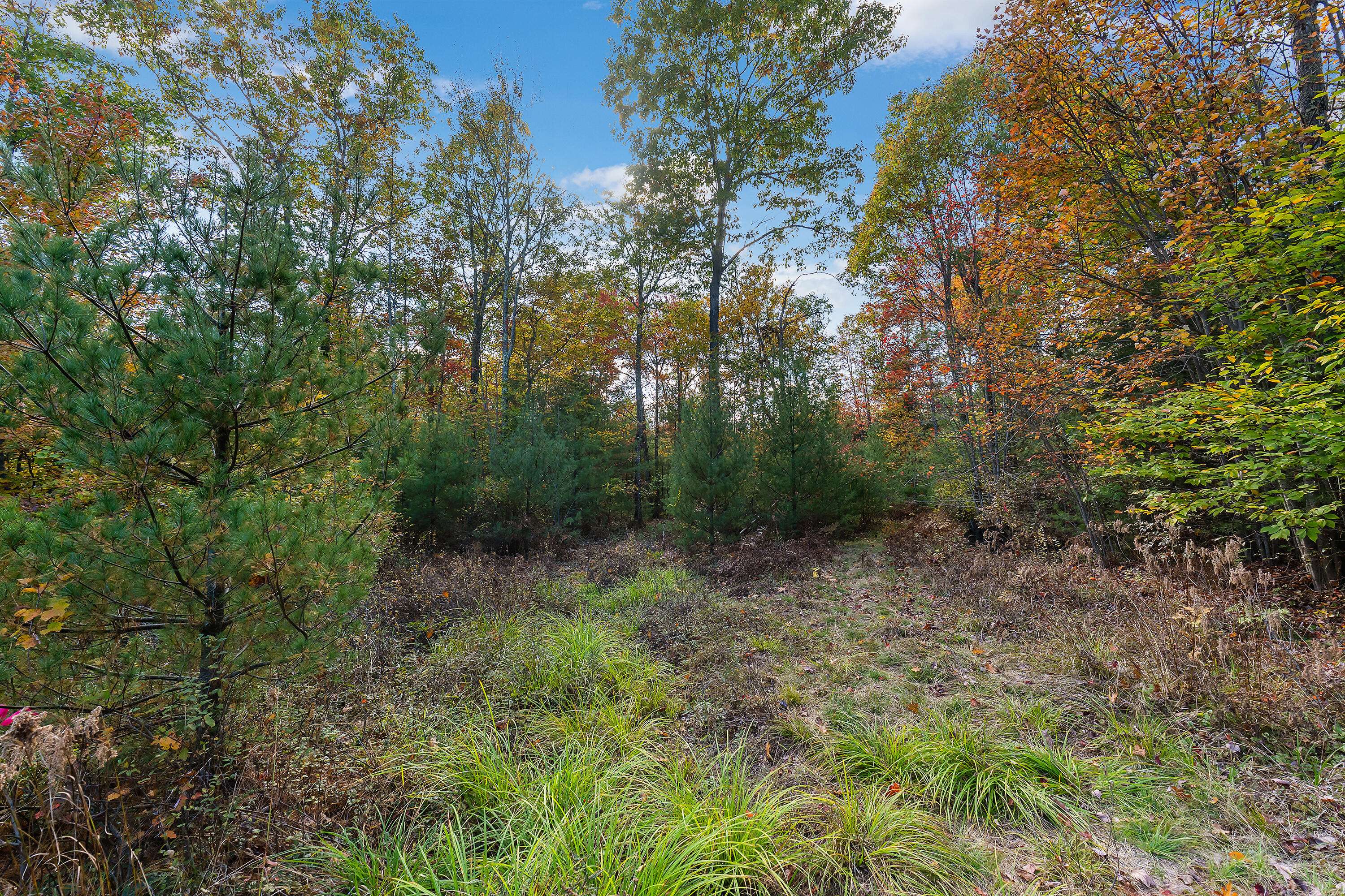 Berwick, ME 03901,TBD Long Swamp RD #Lot 1