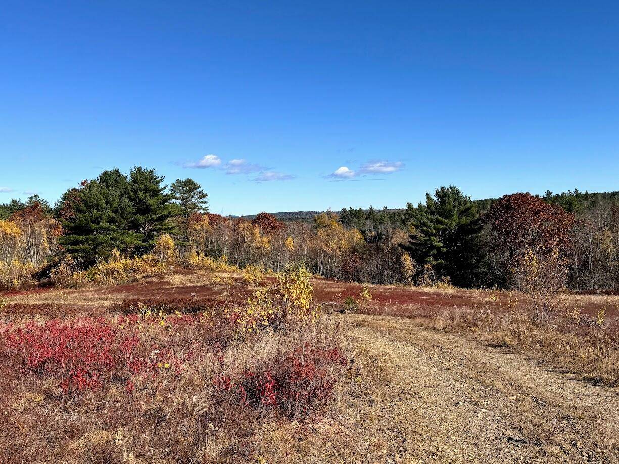 Penobscot, ME 04476,28 Pierce's Pond RD