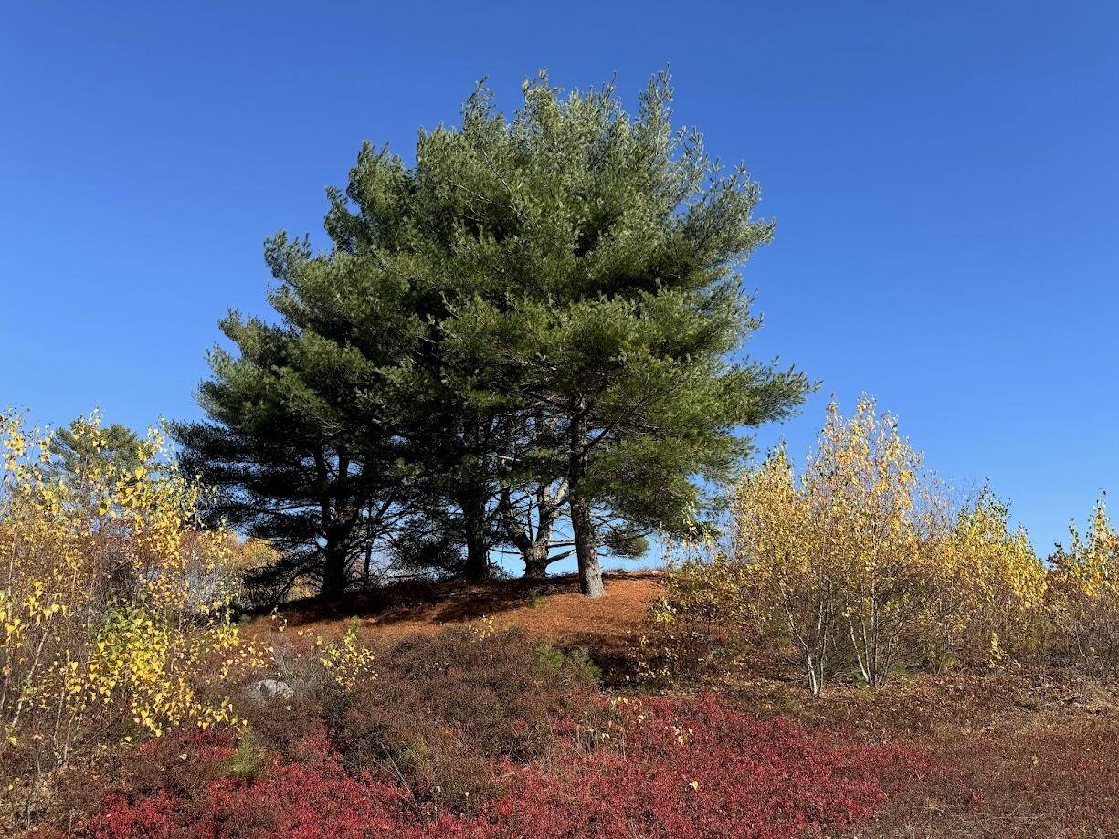Penobscot, ME 04476,28 Pierce's Pond RD