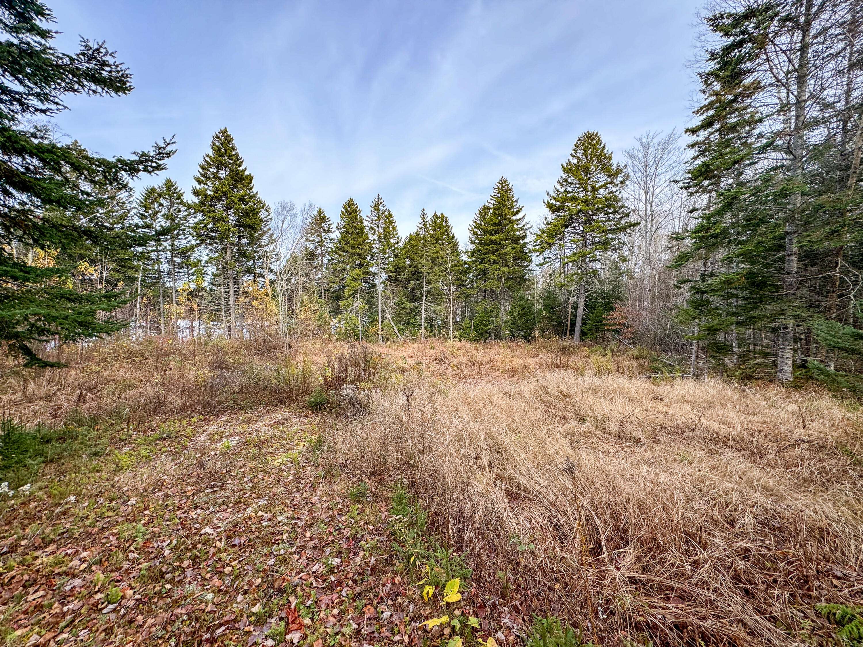 Whiting, ME 04691,Lot 8 Sunset WAY