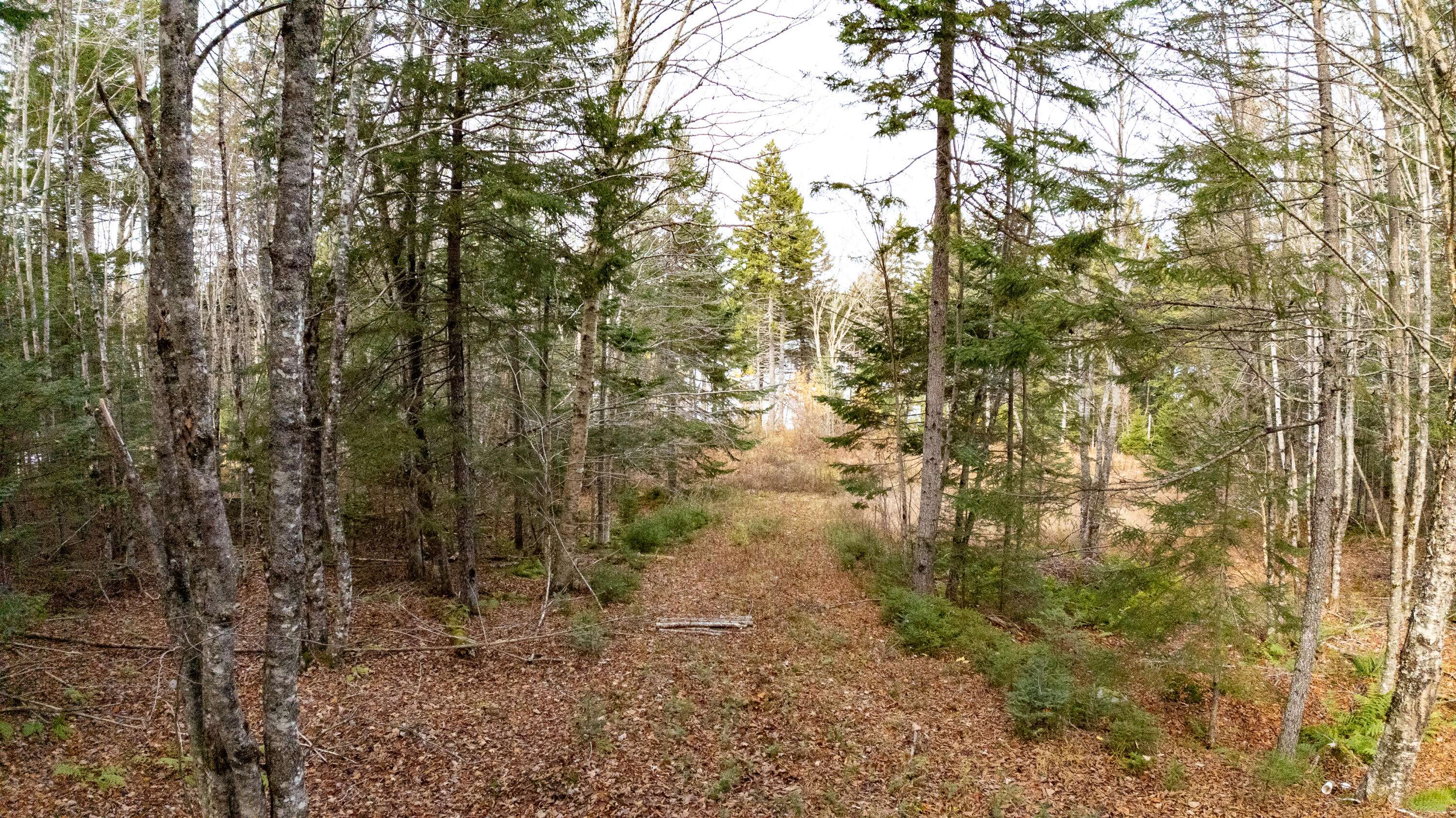 Whiting, ME 04691,Lot 8 Sunset WAY