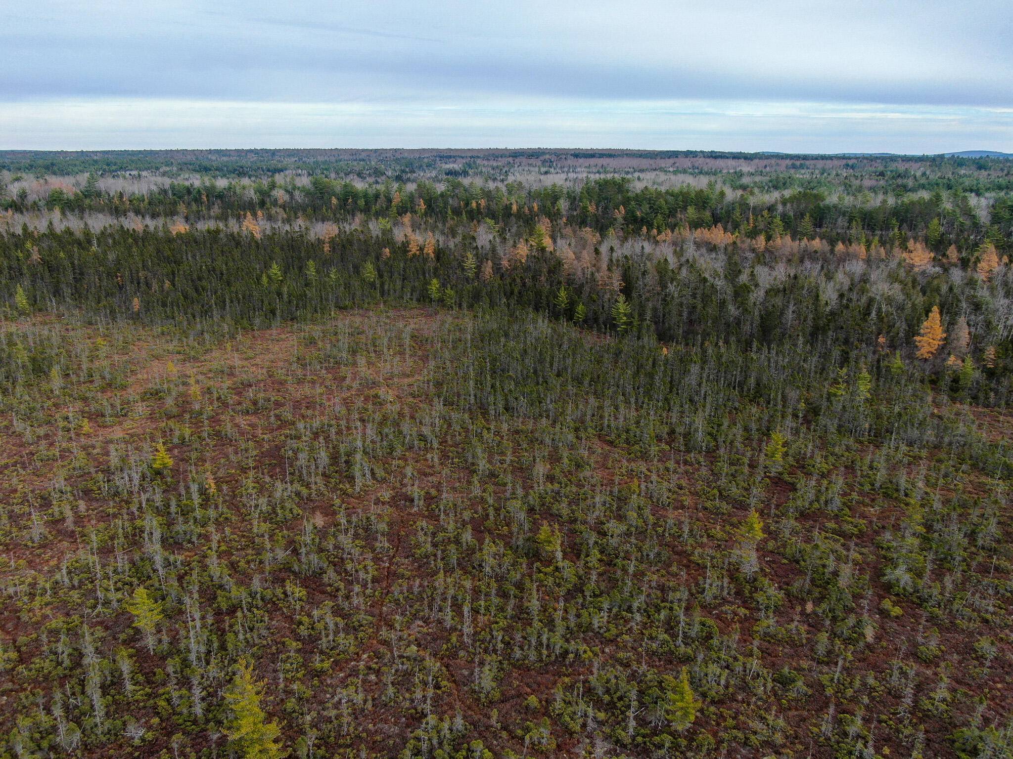 Howland, ME 04448,TBD Seboeis RD