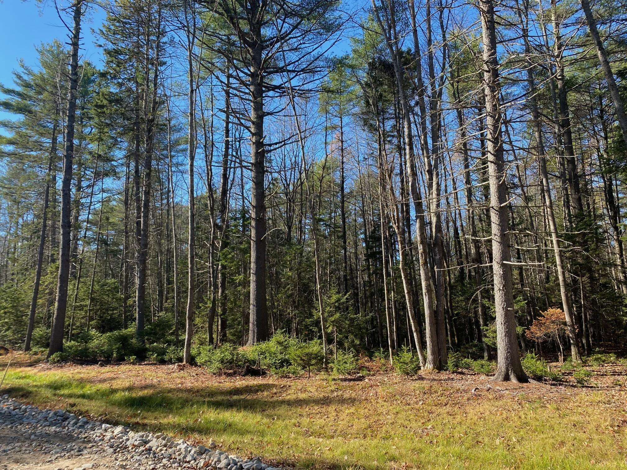 Freeport, ME 04032,Lot B TBD off Beach Hill RD